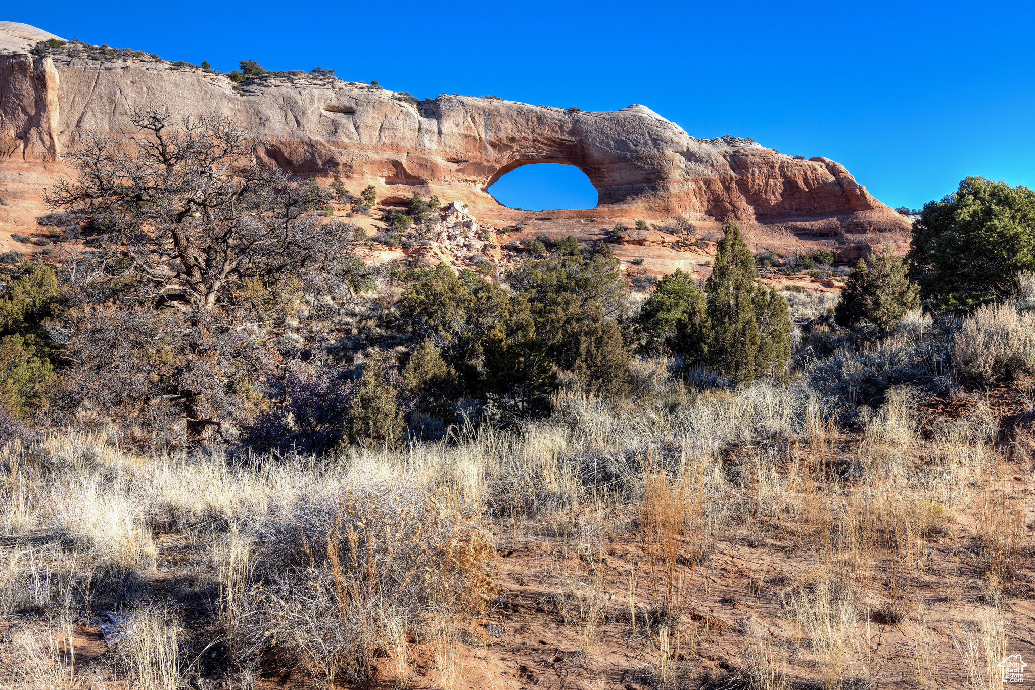 1004 N Hwy 191 #A, Moab, Utah image 6