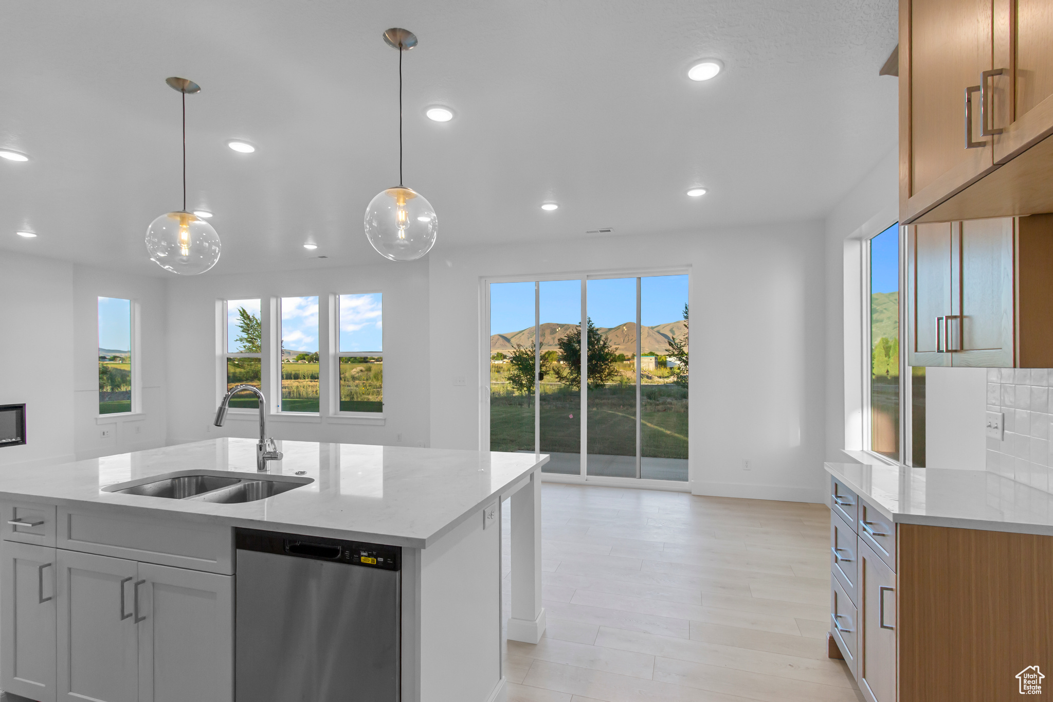 ST GEORGE CITY SURVEY - Residential