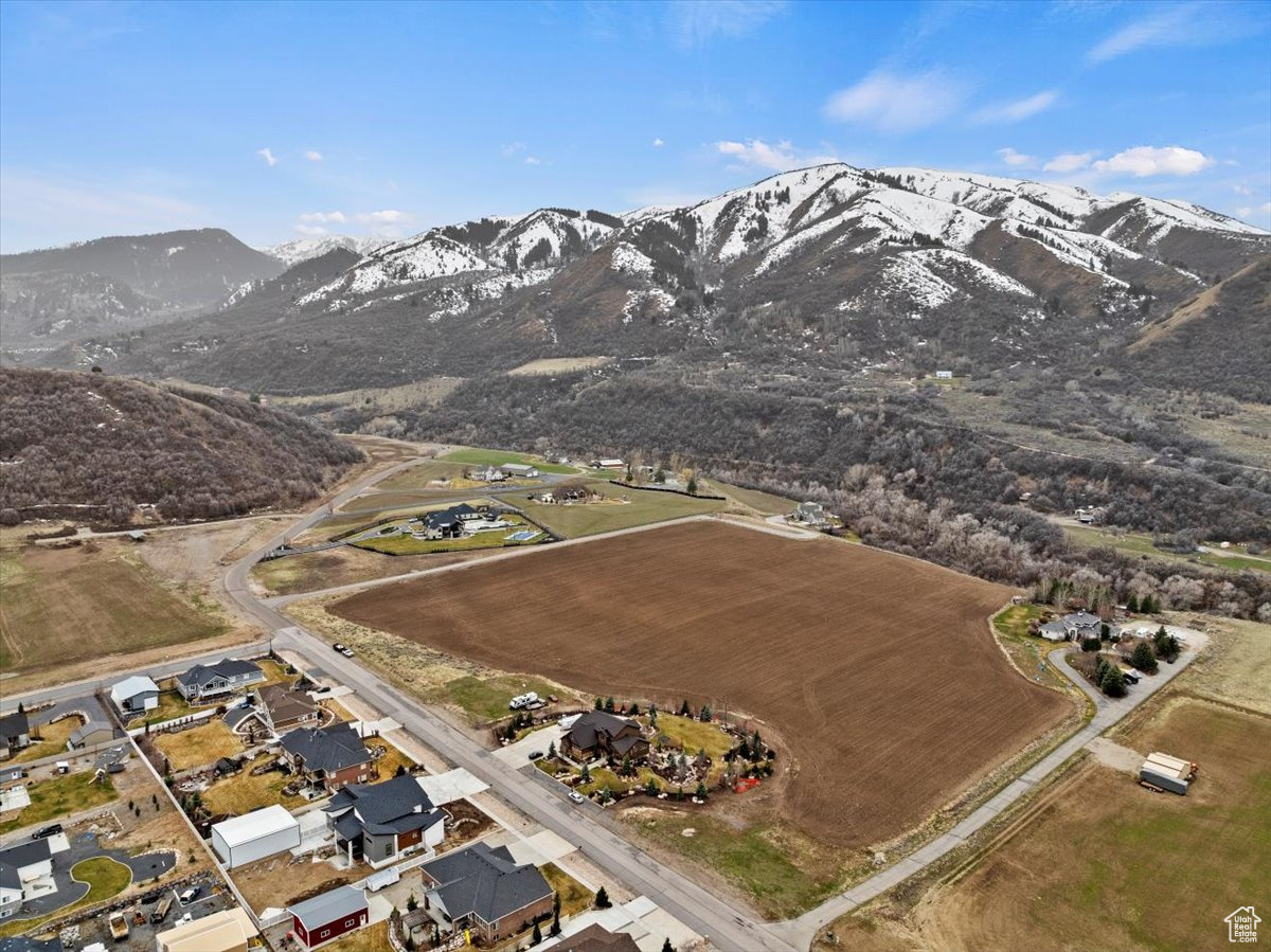 655 Wilard Peak Rd, Mantua, Utah image 6