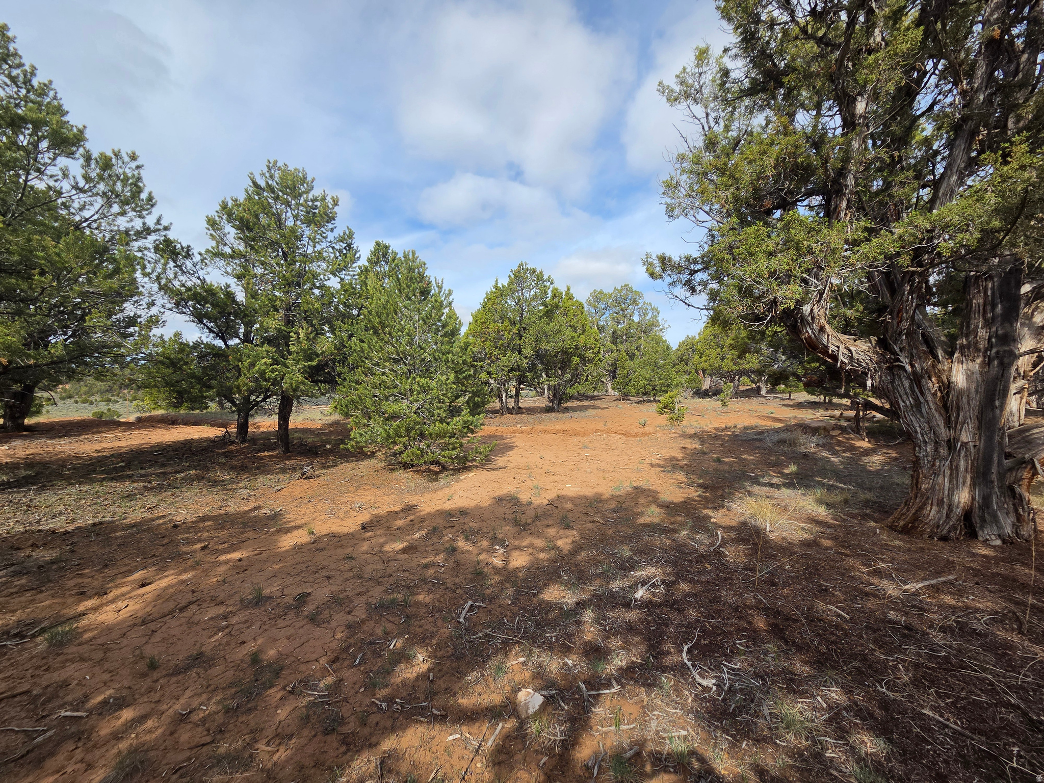 BANDANNA RANCH - Residential
