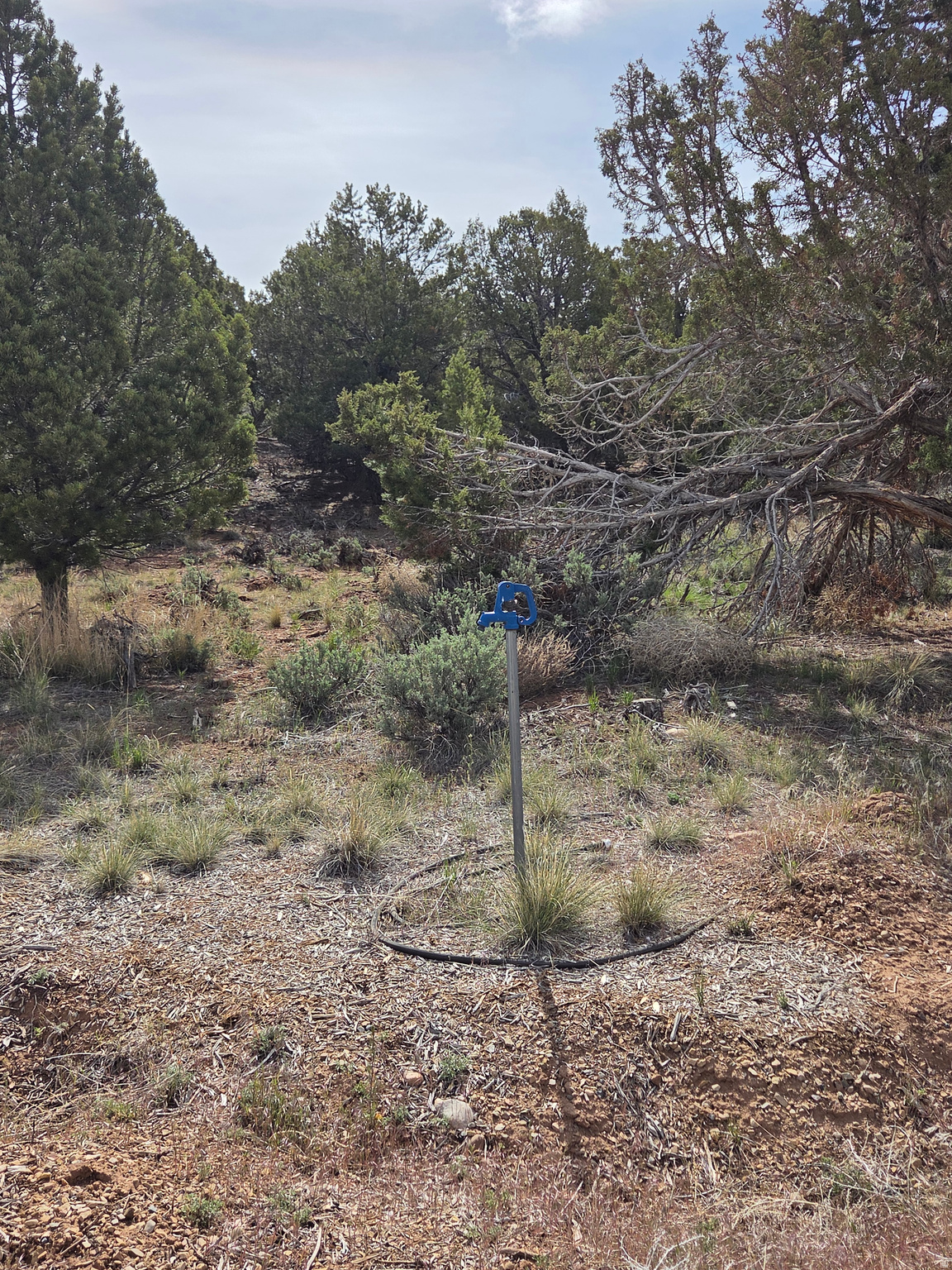BANDANNA RANCH - Residential