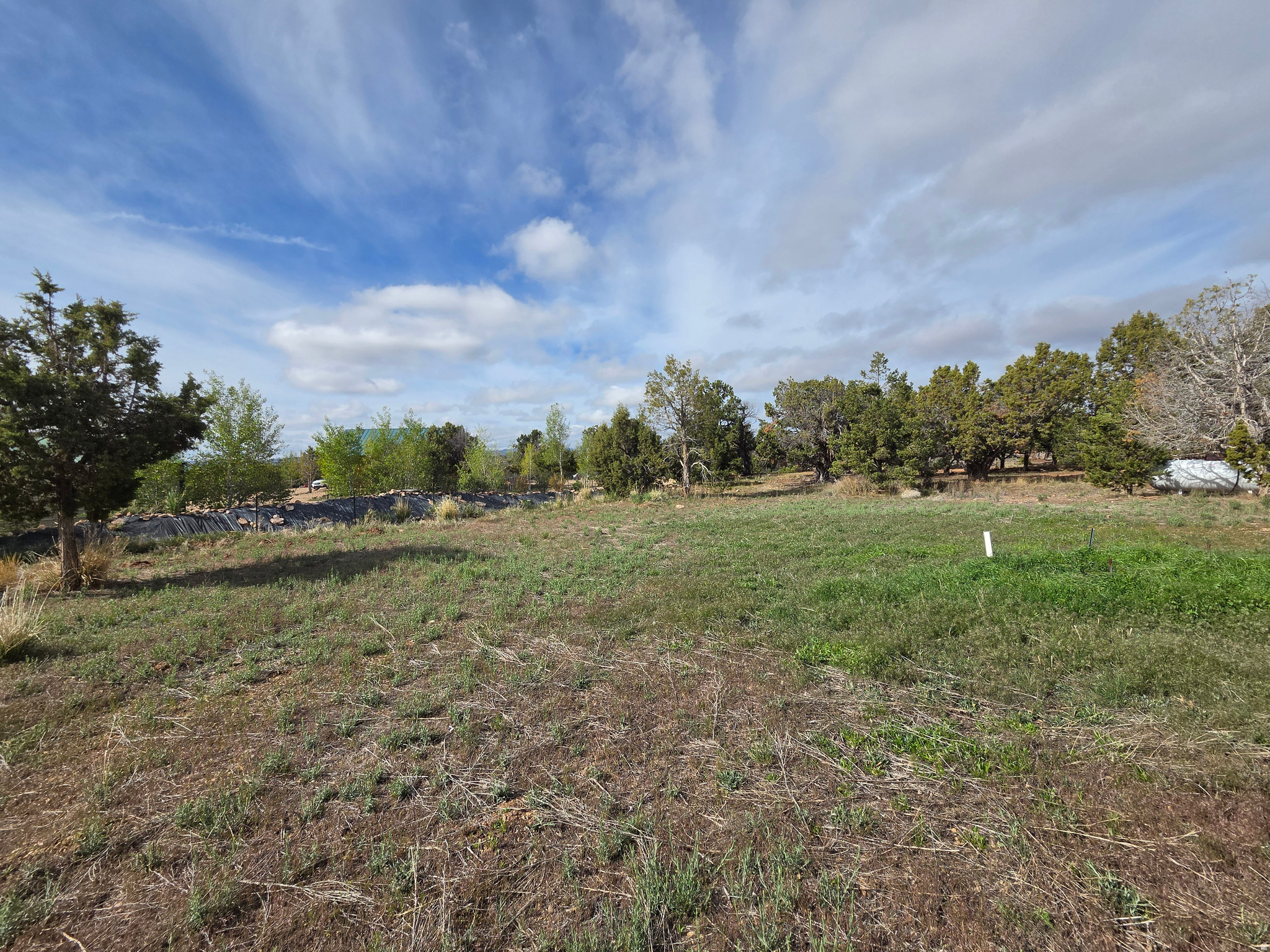 BANDANNA RANCH - Residential