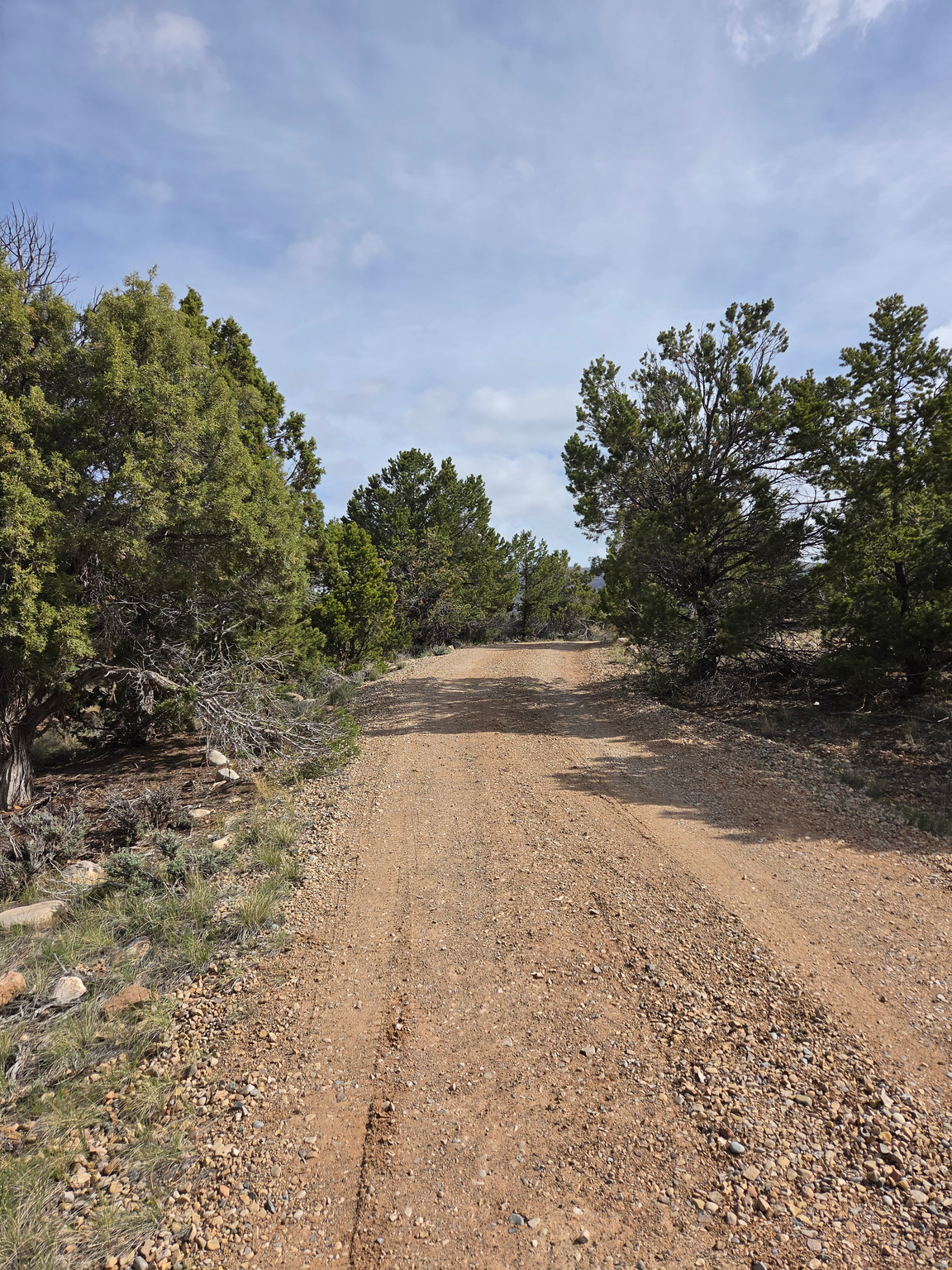 BANDANNA RANCH - Residential