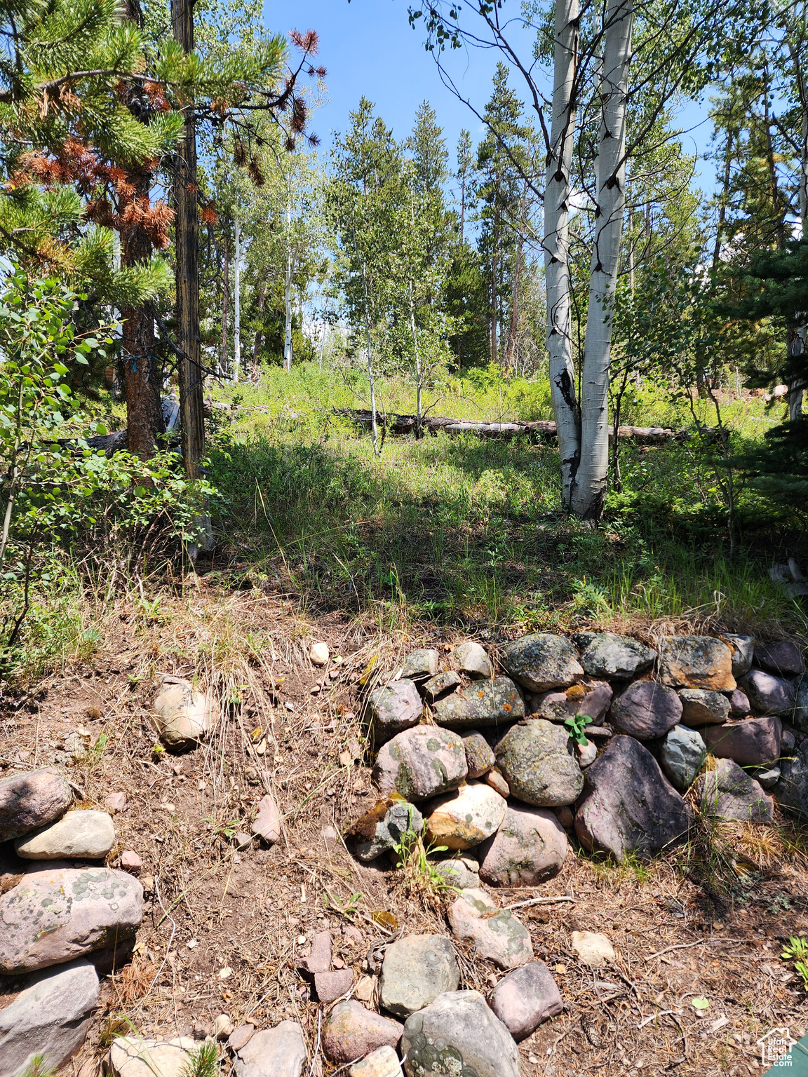 868 Forest Cir #9, Coalville, Utah image 2