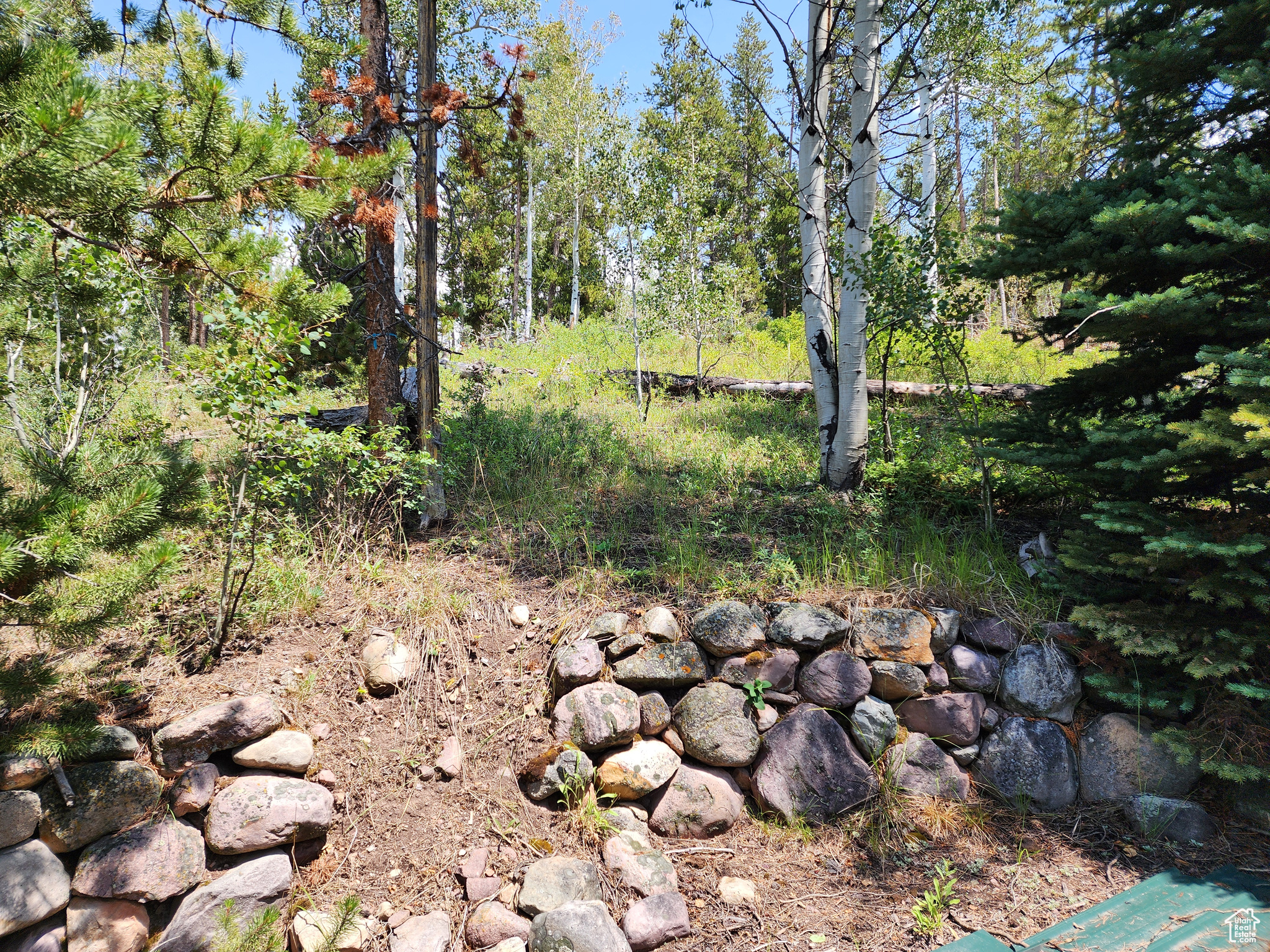 868 Forest Cir #9, Coalville, Utah image 10