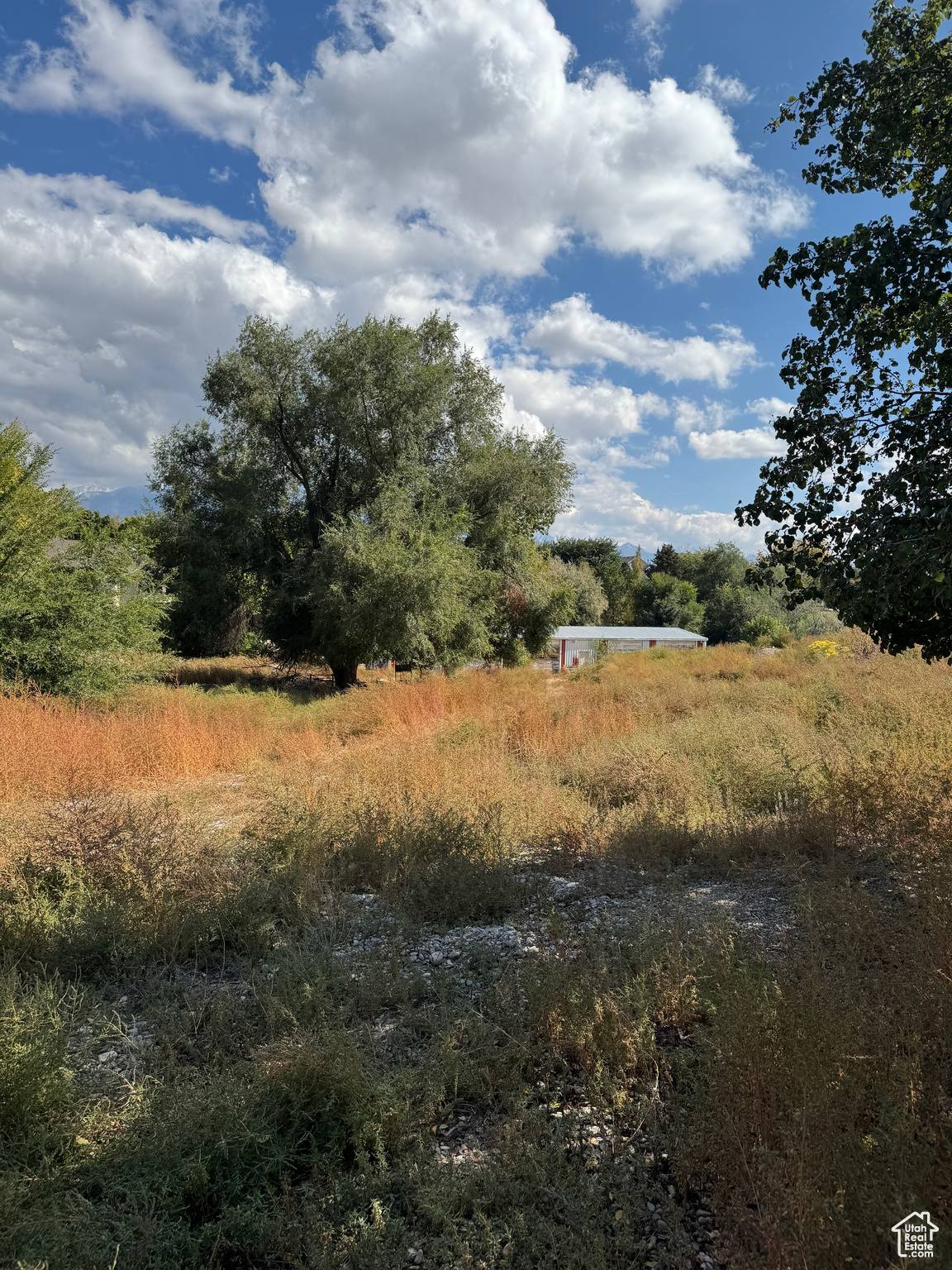 CLOVER RIDGE - Residential