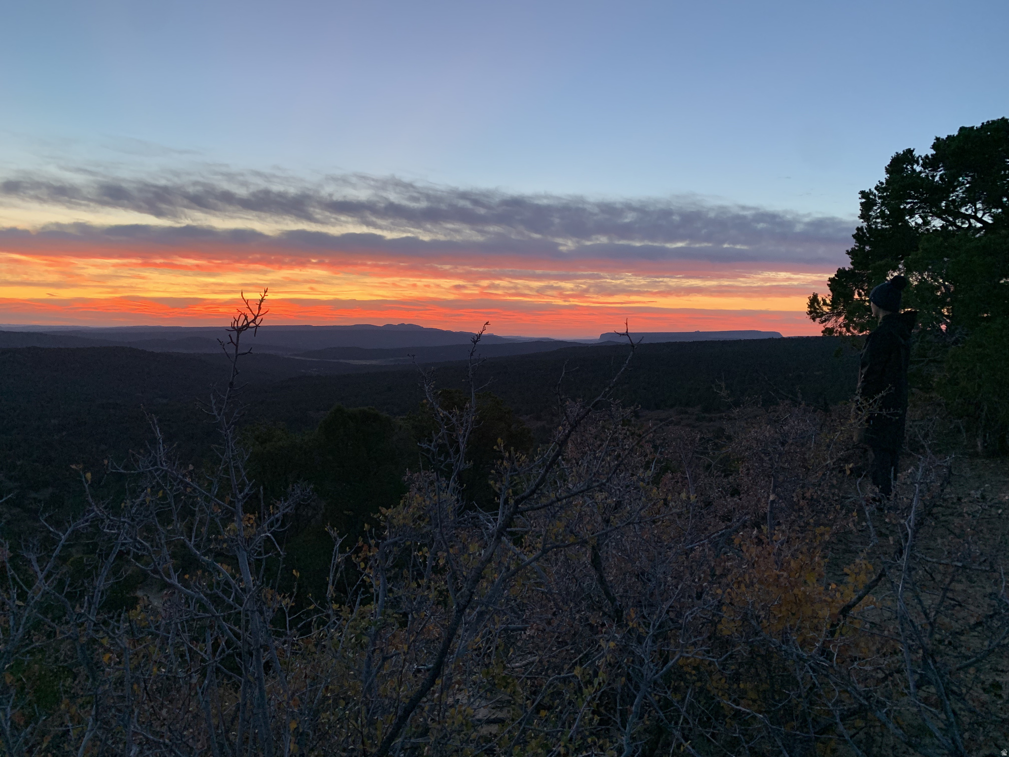 DEER SPRINGS RANCH PLAT B - Land