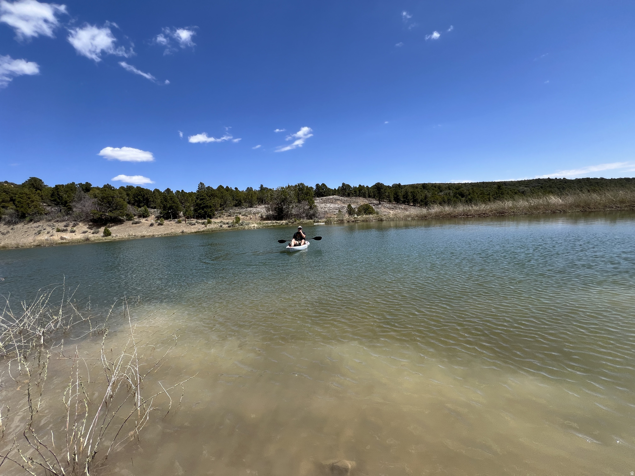 DEER SPRINGS RANCH PLAT B - Land