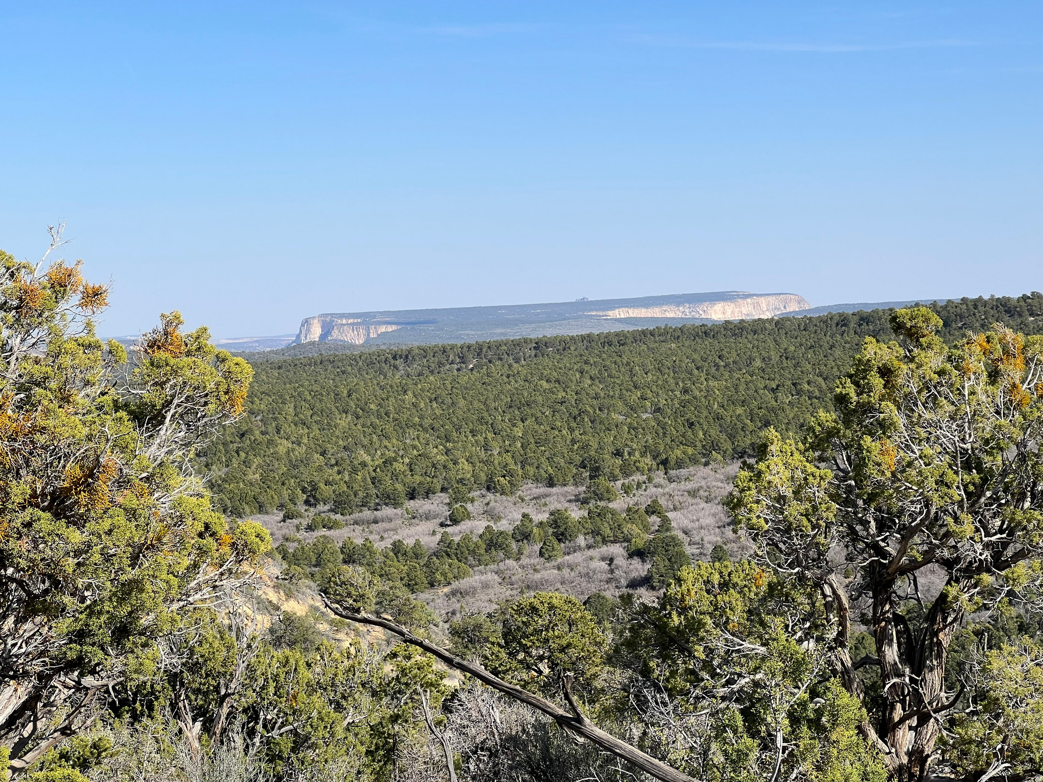 DEER SPRINGS RANCH PLAT B - Land