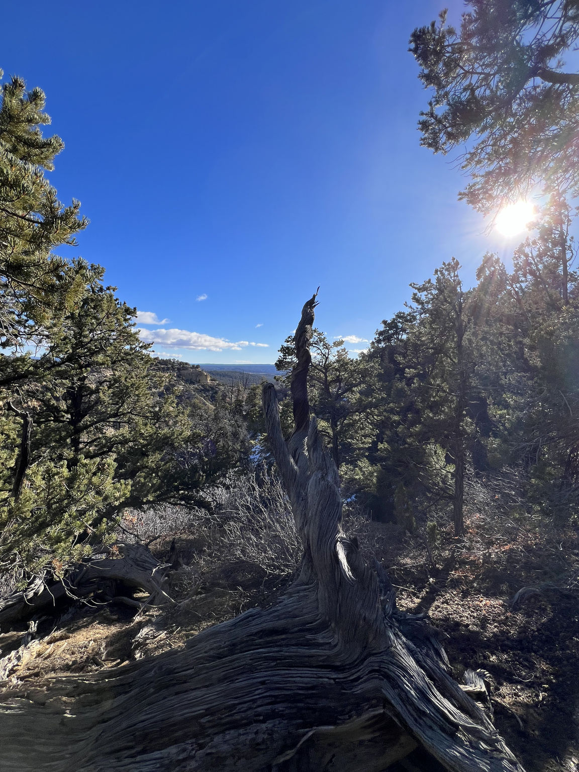 DEER SPRINGS RANCH PLAT B - Land
