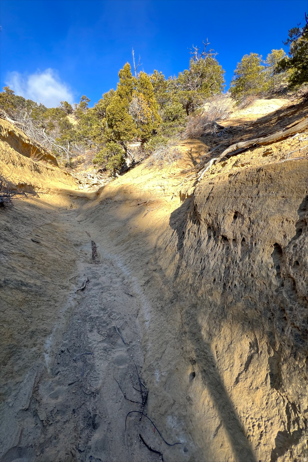 DEER SPRINGS RANCH PLAT B - Land