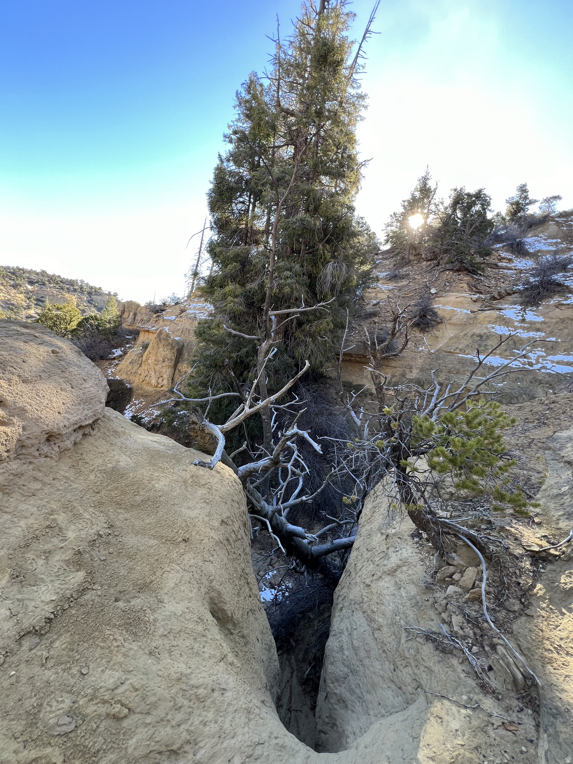 DEER SPRINGS RANCH PLAT B - Land