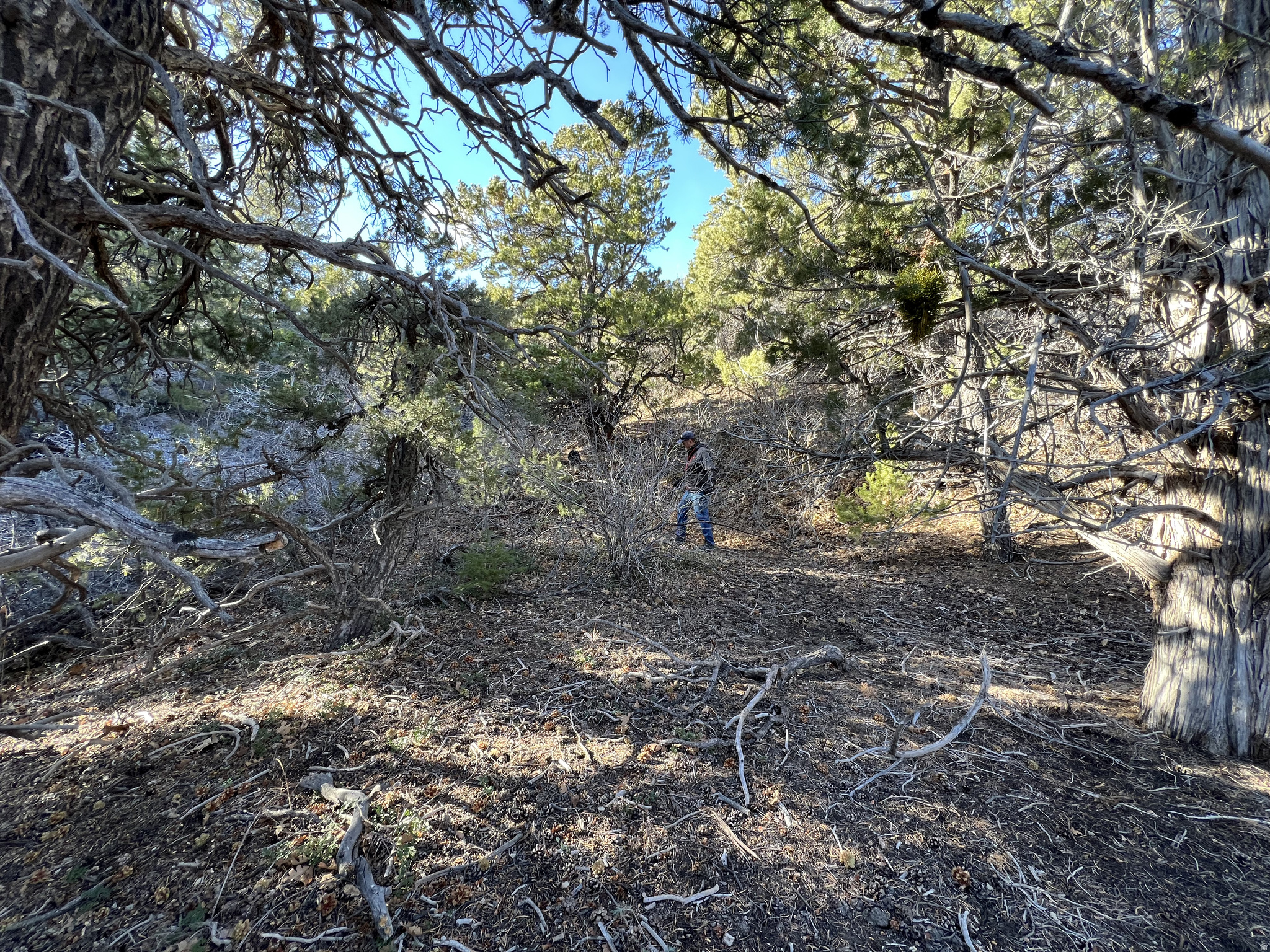 DEER SPRINGS RANCH PLAT B - Land