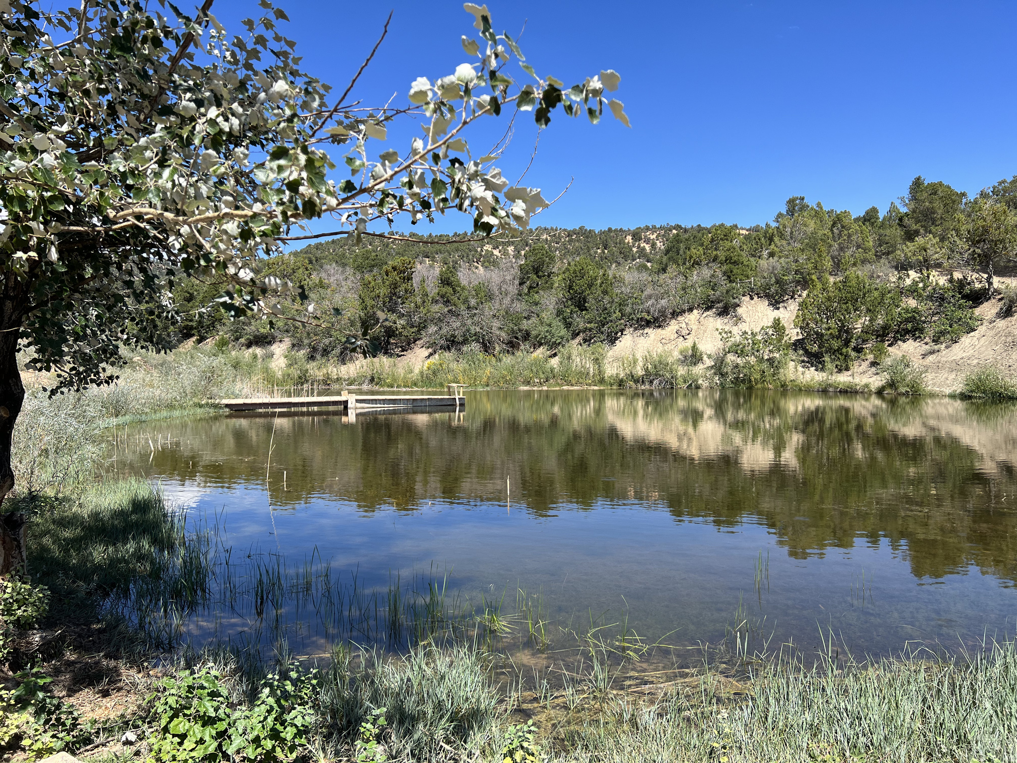 DEER SPRINGS RANCH PLAT B - Land