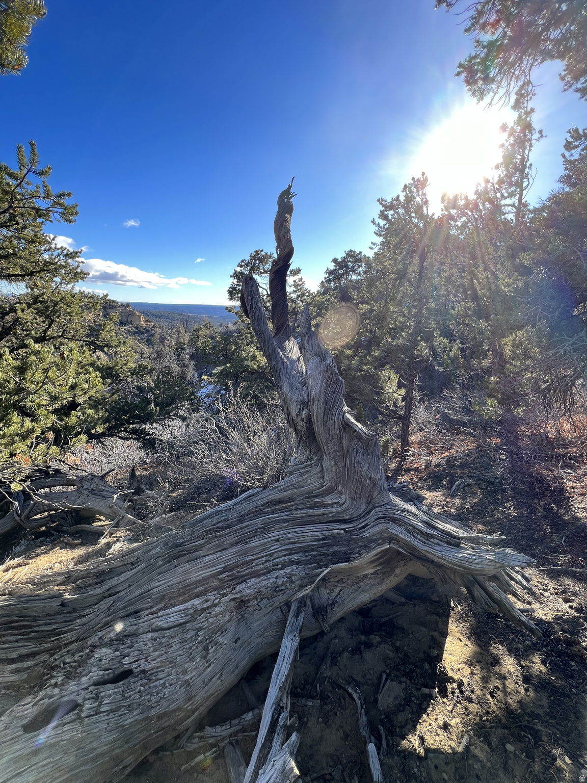 DEER SPRINGS RANCH PLAT B - Land