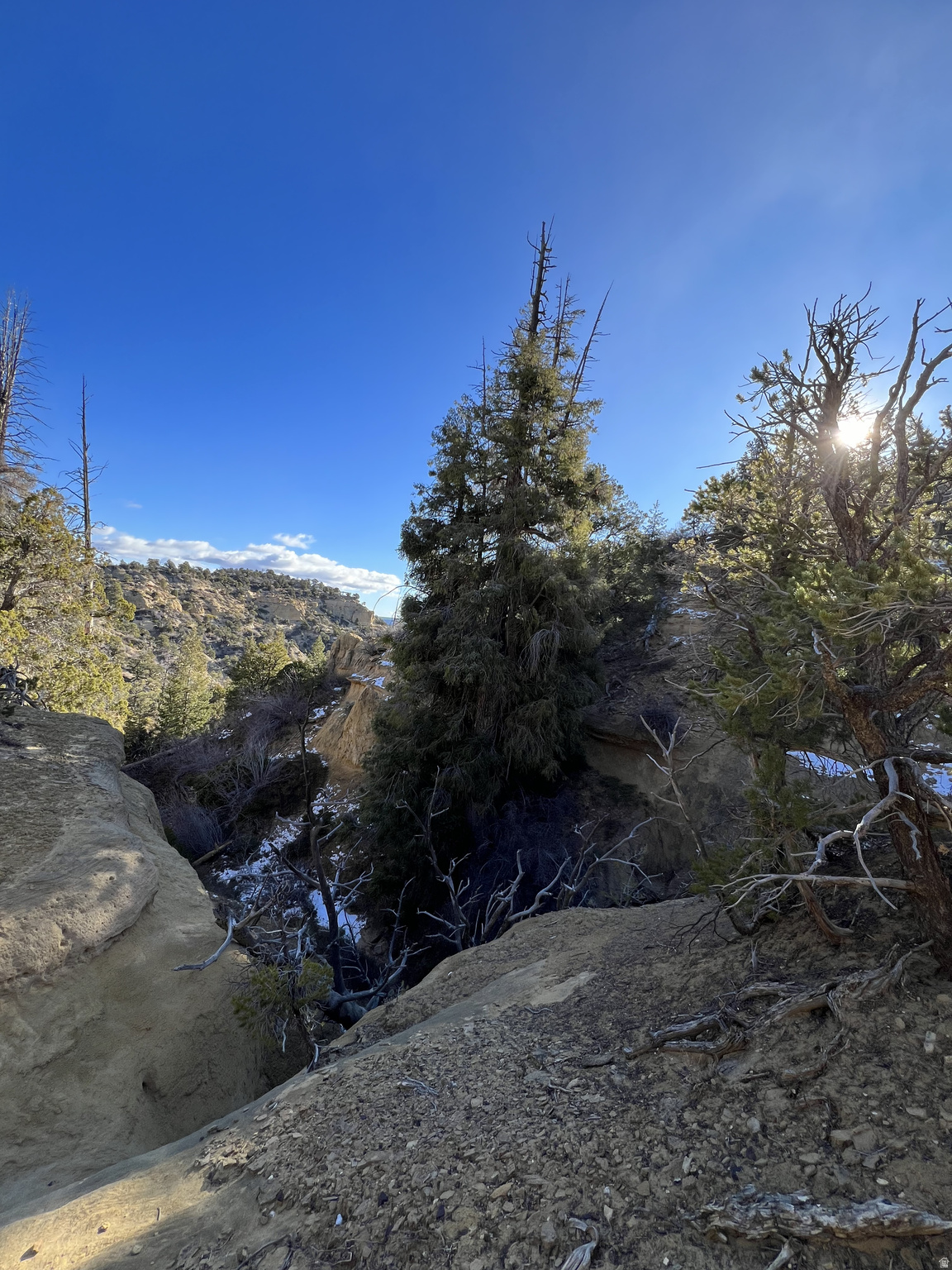 DEER SPRINGS RANCH PLAT B - Land