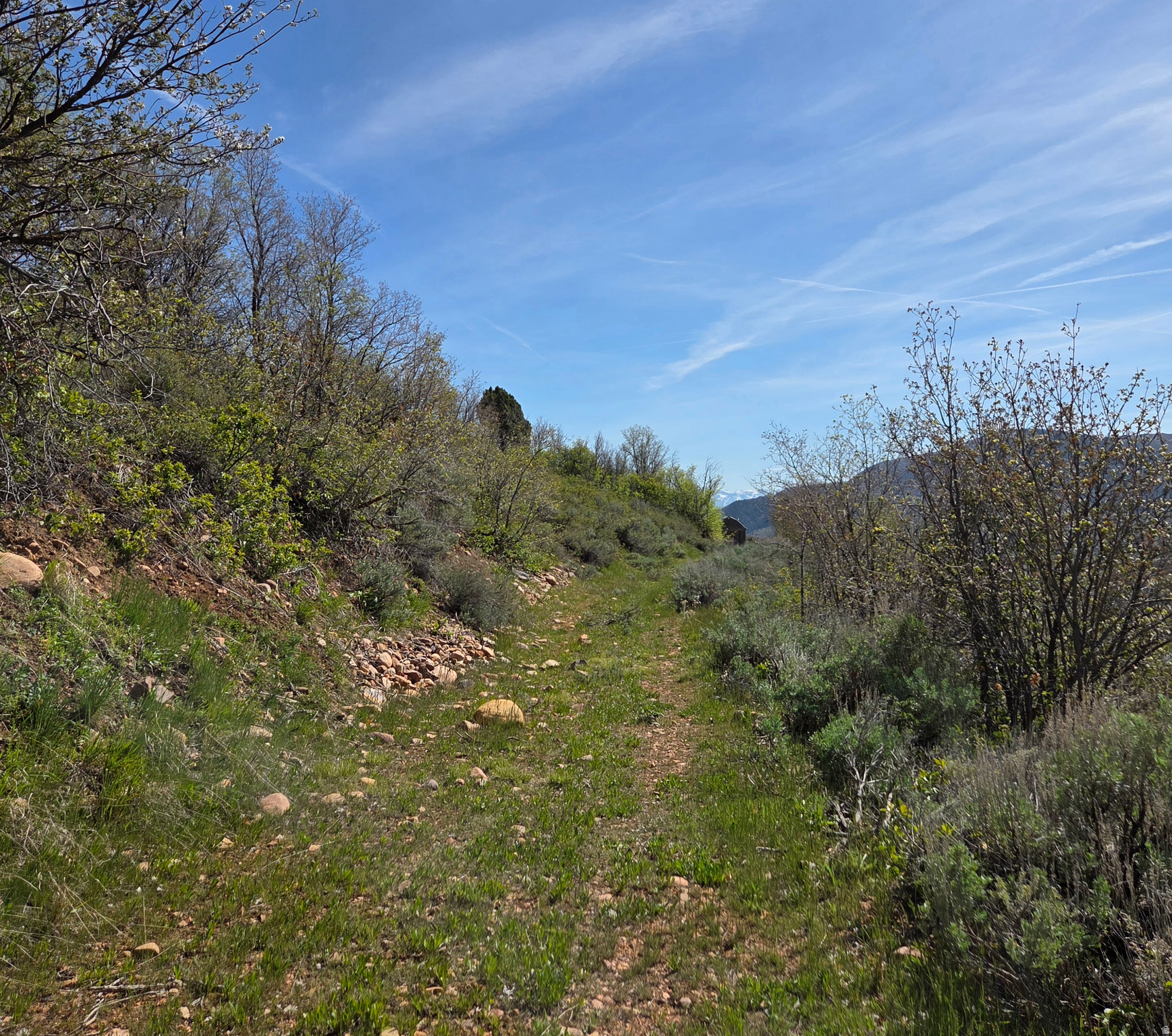 EVERGREEN - Land