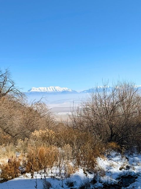 Tiny photo for Cedar Fort, UT 84013 (MLS # 2133558)