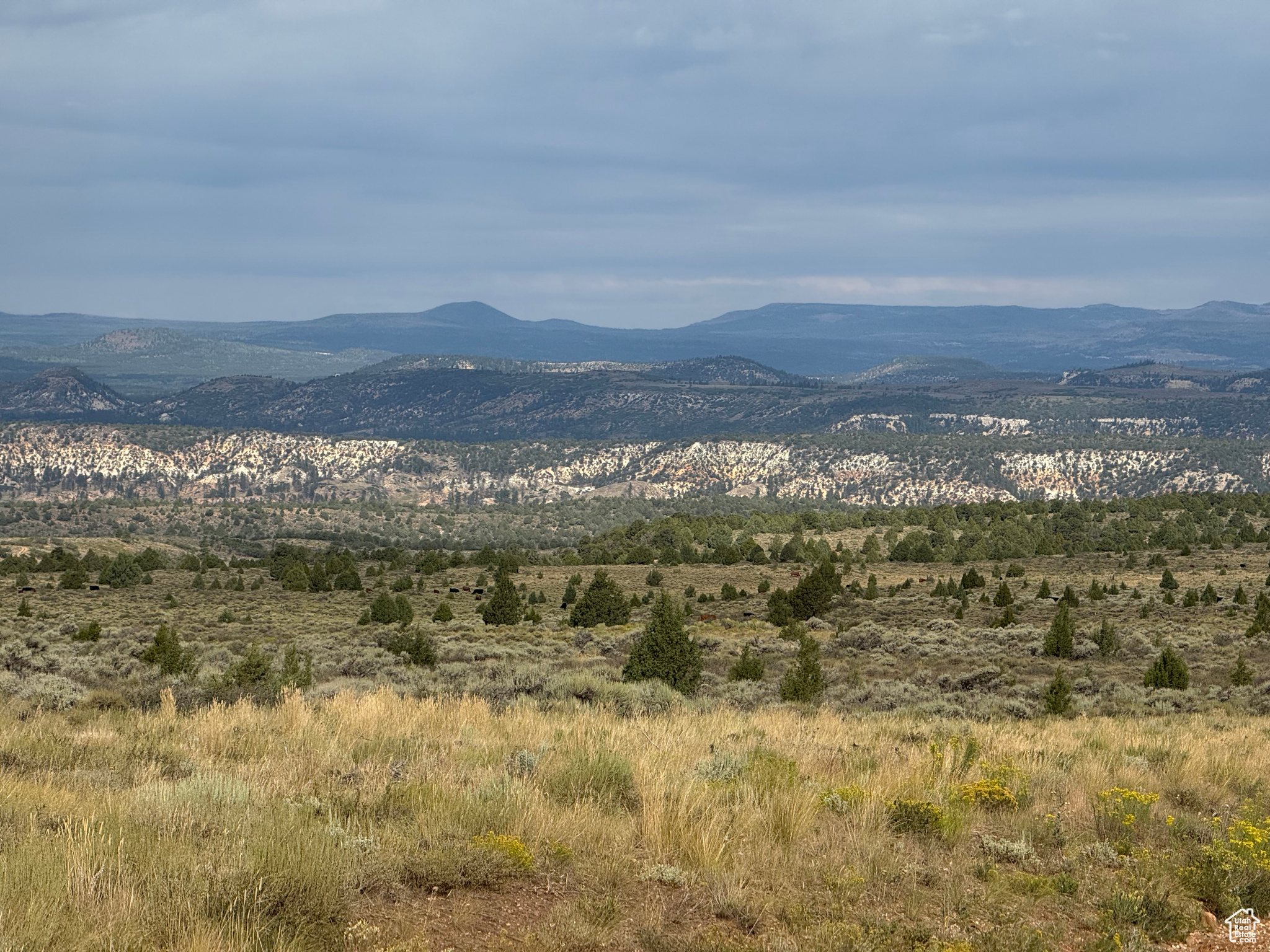 BRYCE WOODLAND ESTATE - Land