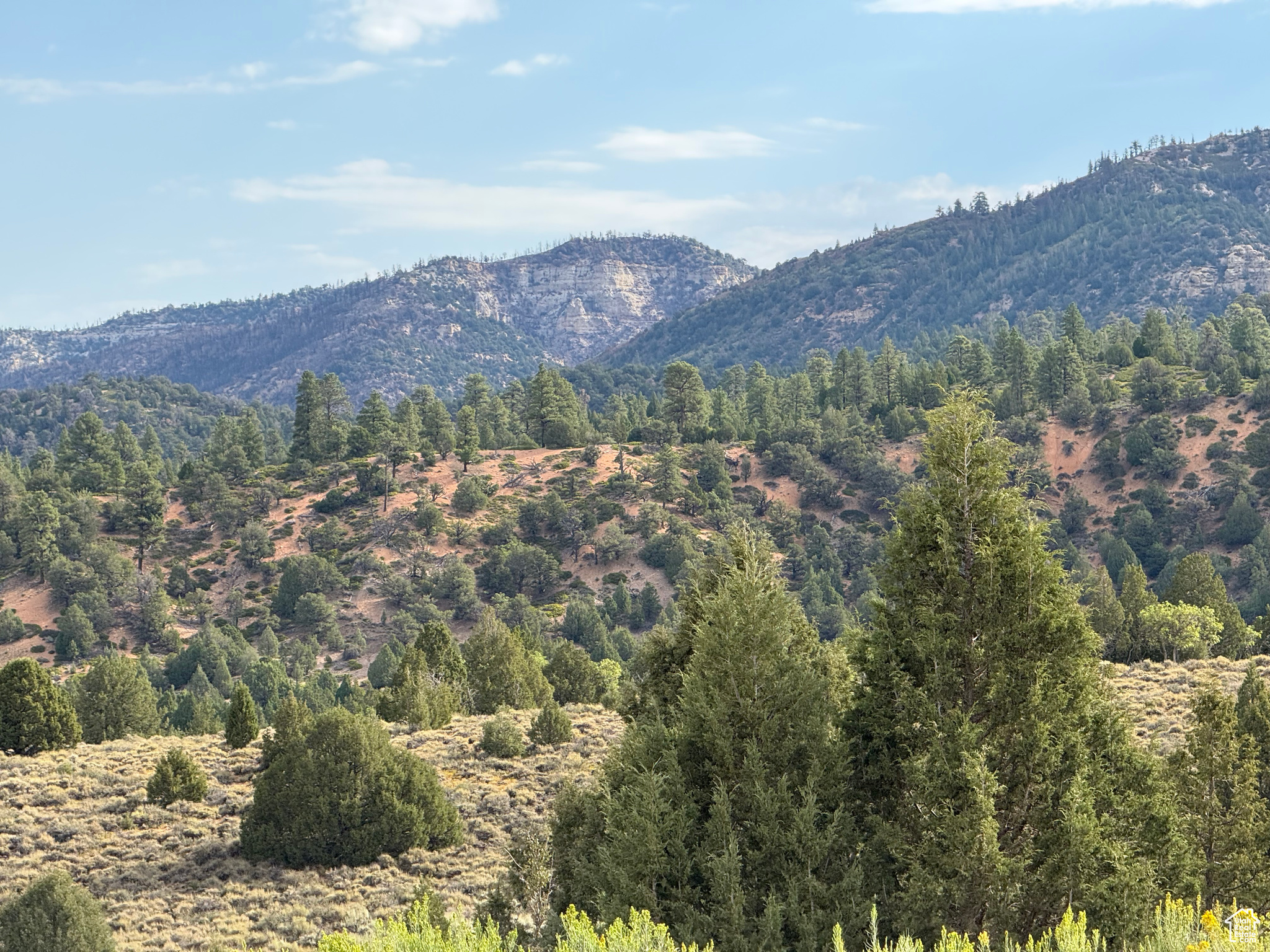 BRYCE WOODLAND ESTATE - Land