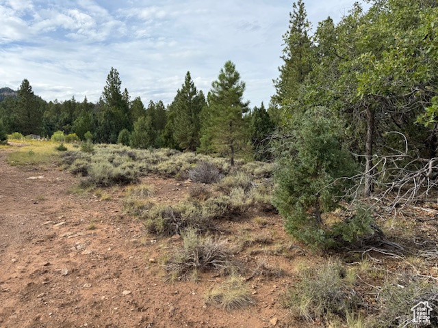 BRYCE WOODLAND ESTATE - Land