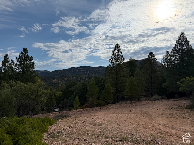 BRYCE WOODLAND ESTATE - Land