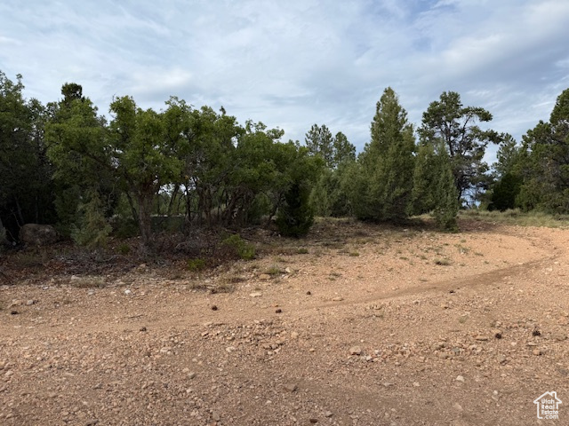 BRYCE WOODLAND ESTATE - Land