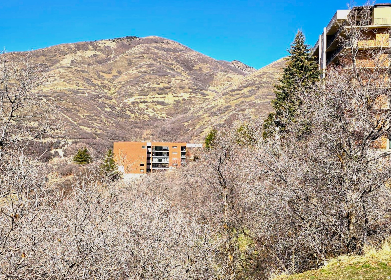 DONNER CREST CONDOMINIUMS - Residential