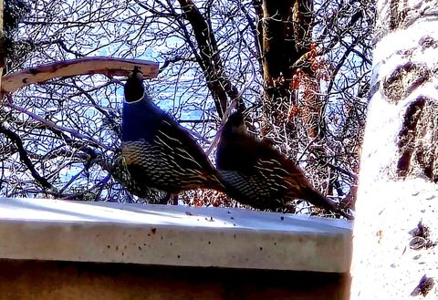 Tiny photo for 850 S DONNER WAY #300, Salt Lake City, UT 84108 (MLS # 2143299)