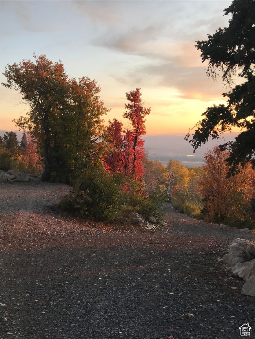 Absolutely stunning recreational lot. Quiet and secluded lot location off of the main road. Located towards the top of the Skyline Mountain resort subdivision. Large lot, very rare in comparison to the other lots up there. Many improvements already made to the property including the power connection. Grading for vehicles, trailer location spots, etc. Large lot will fit your trailer, toy hauler, etc. 8ft by 20 ft connex storage container is included. Trailer with water tank is excluded.