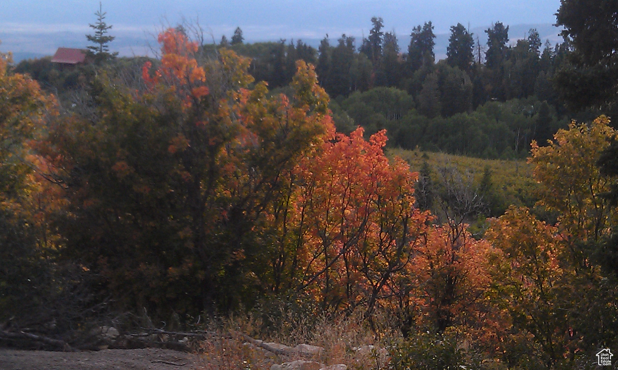 1 N 1 #J27, Fairview, Utah image 3