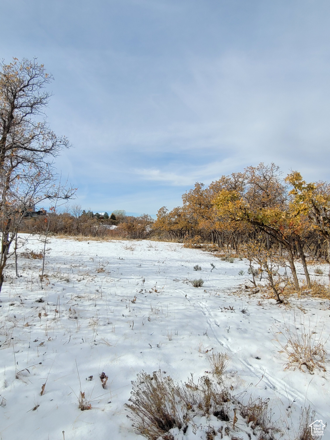 425 S Woodland Hills (lot#2) Dr #2, Woodland Hills, Utah image 7