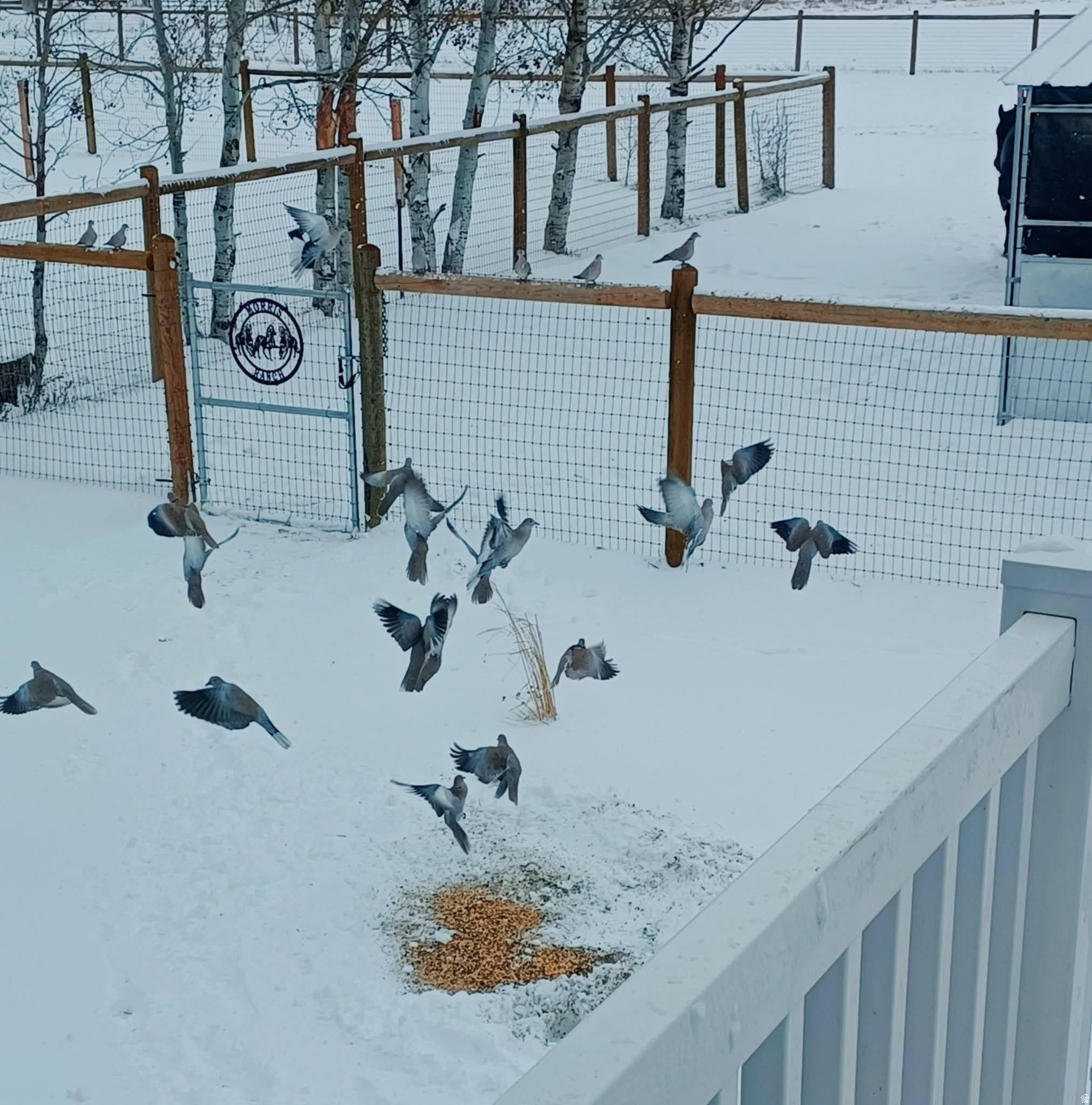 TURNER SUBDIVISION - Residential