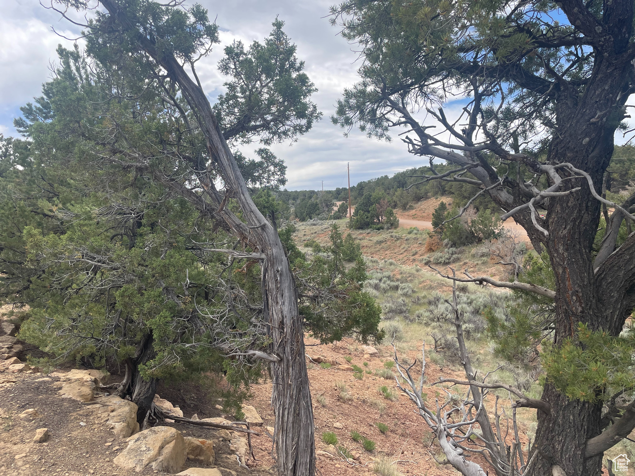 ORANGE MOUNTAIN - Land