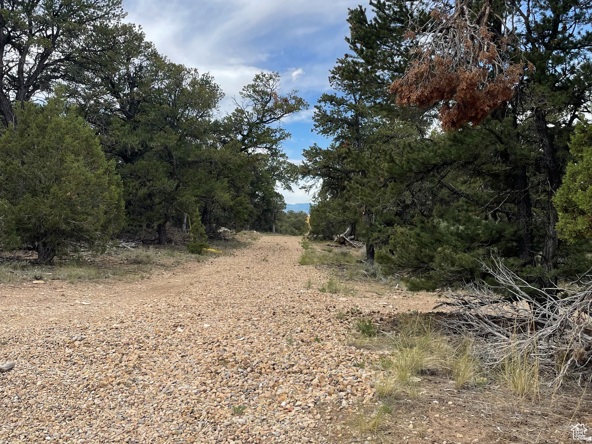 ORANGE MOUNTAIN - Land