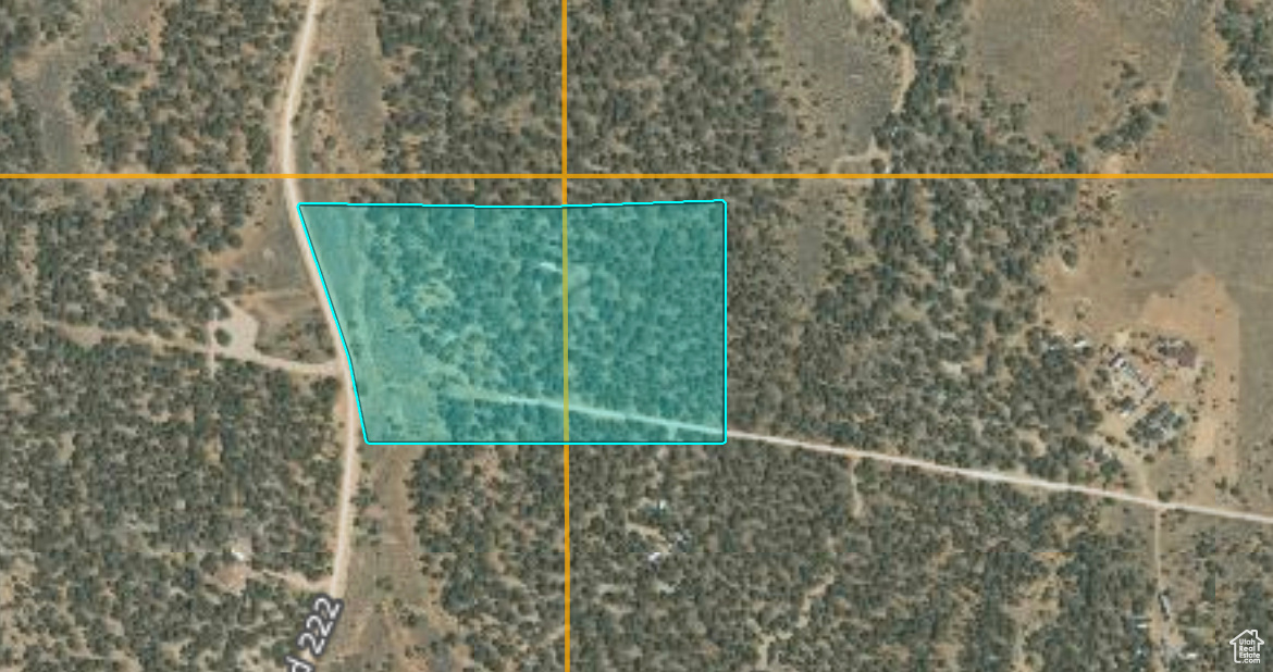 ORANGE MOUNTAIN - Land