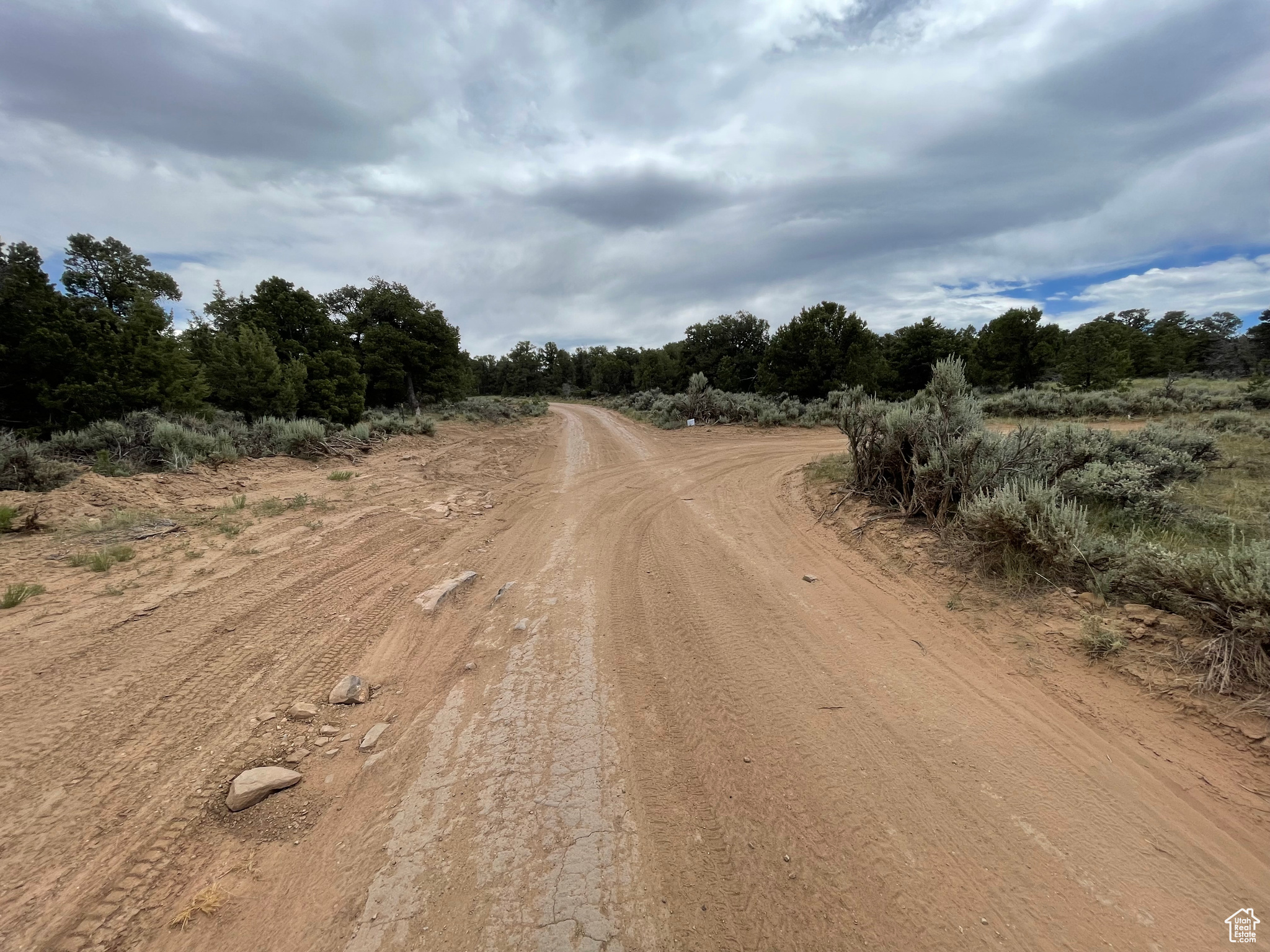 ORANGE MOUNTAIN - Land