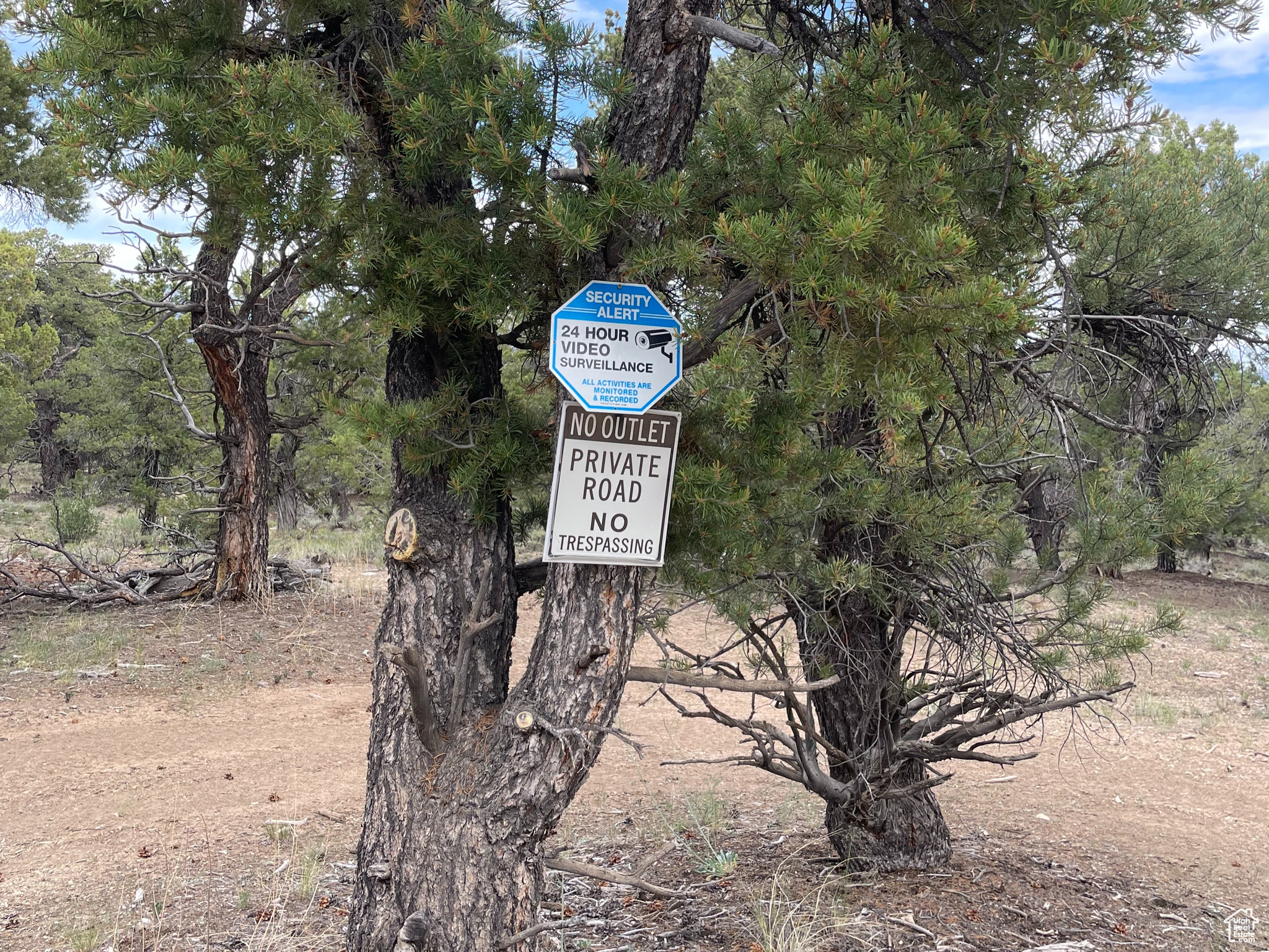 ORANGE MOUNTAIN - Land