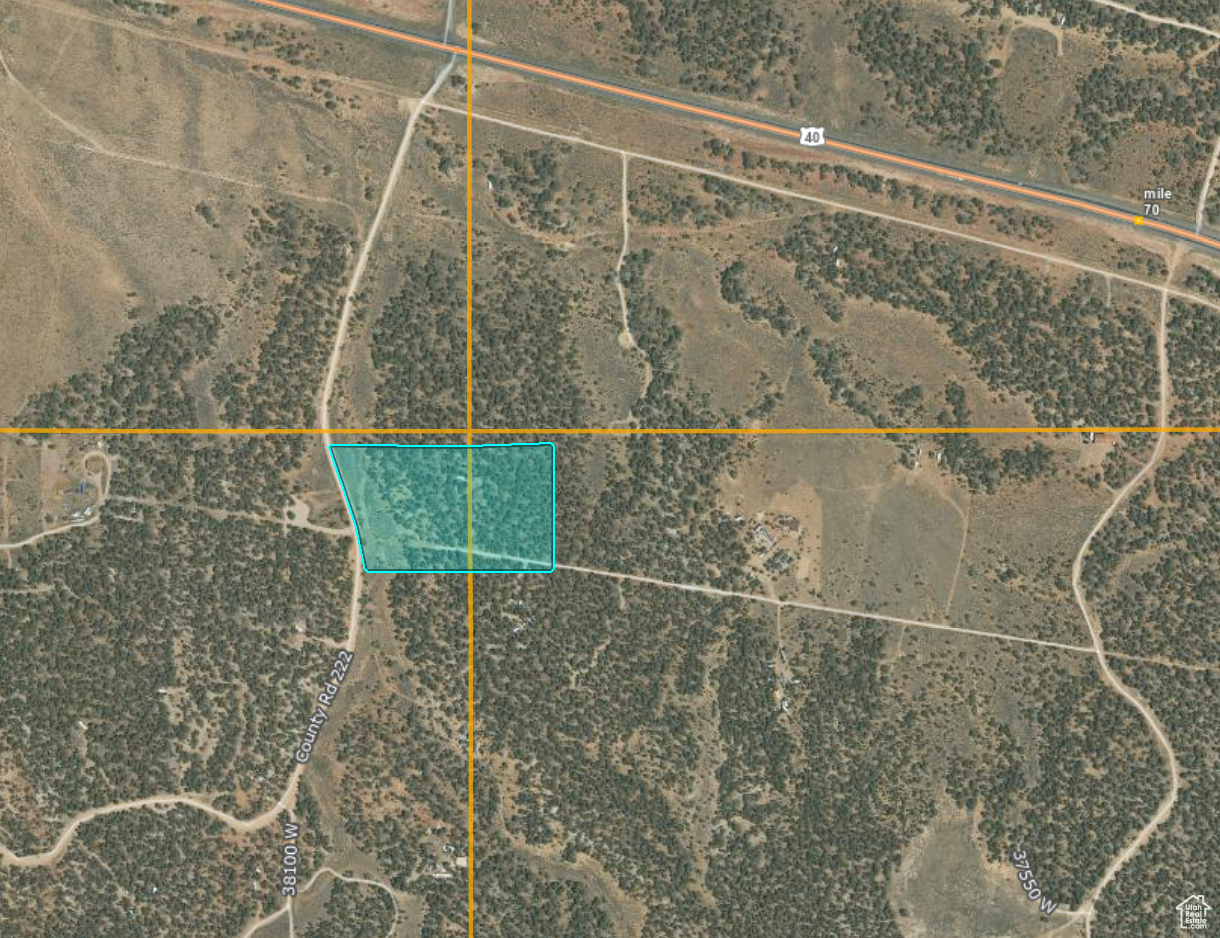 ORANGE MOUNTAIN - Land