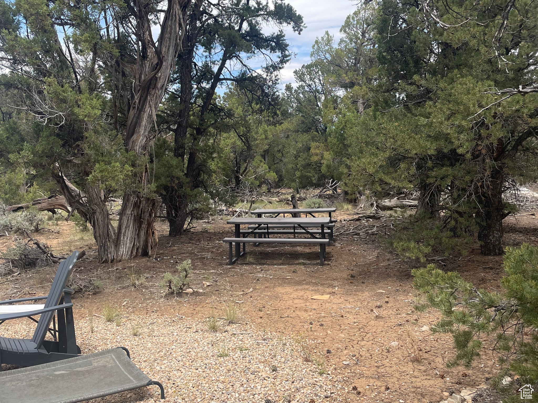 ORANGE MOUNTAIN - Land