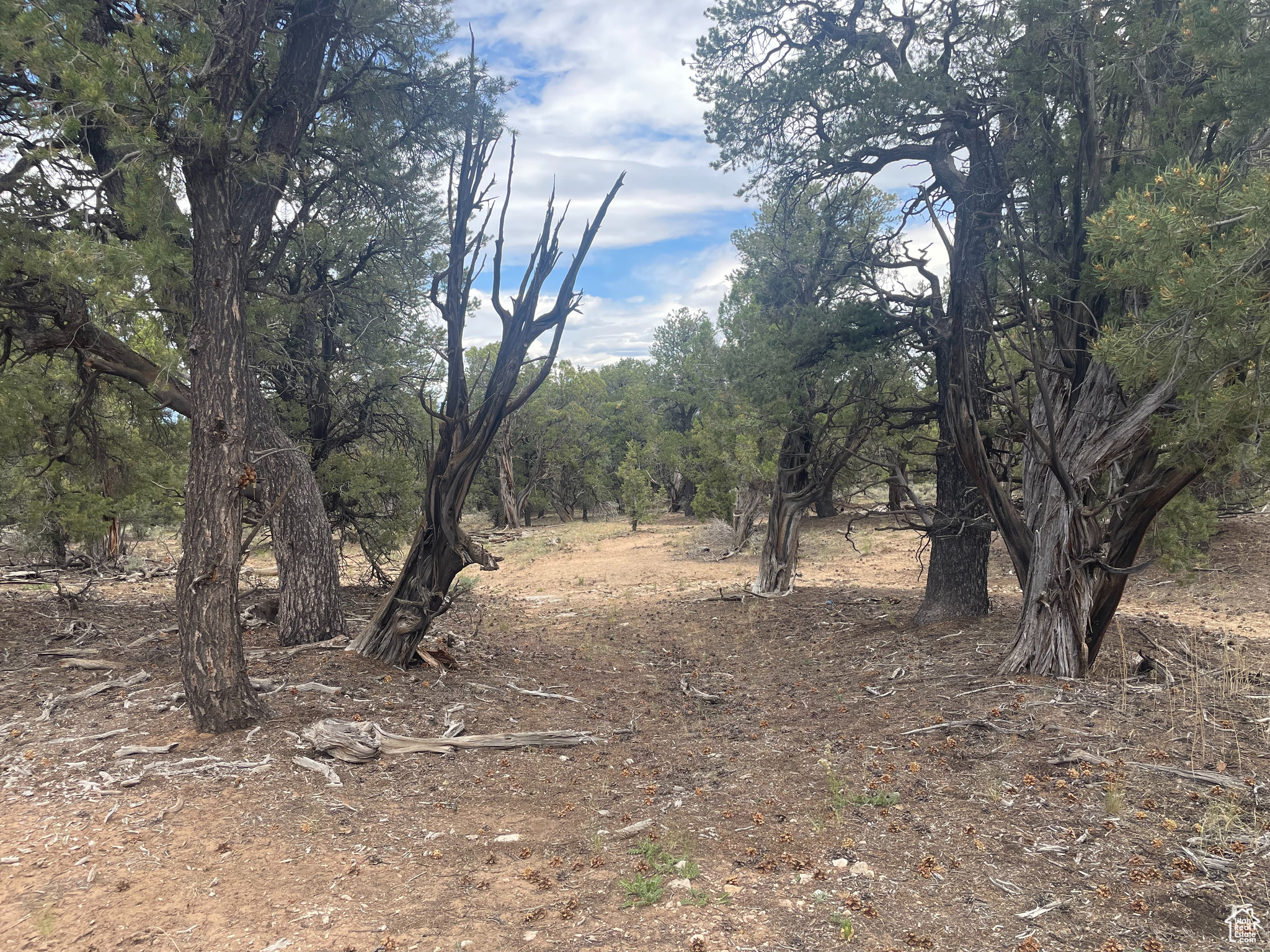 ORANGE MOUNTAIN - Land