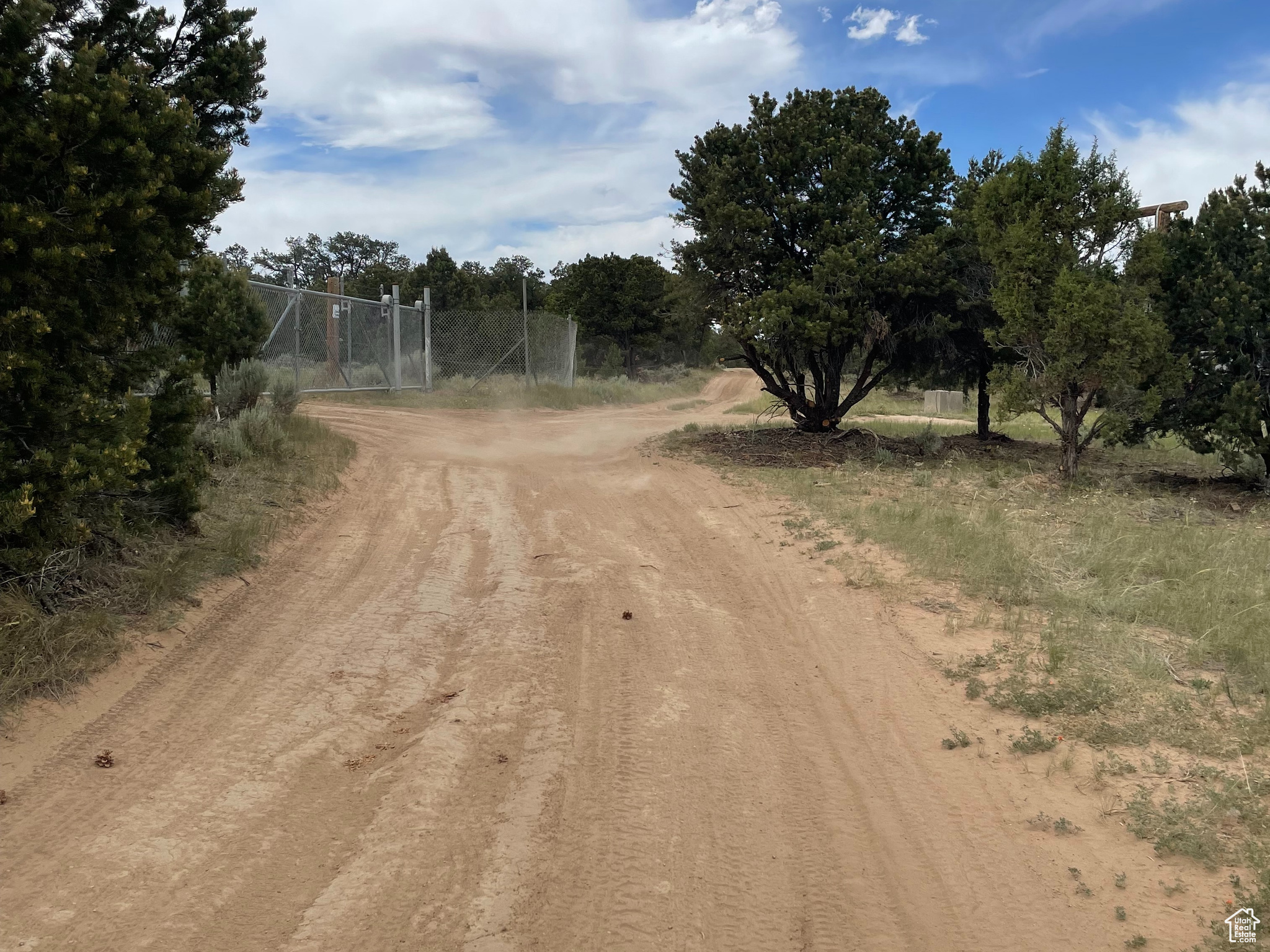 ORANGE MOUNTAIN - Land