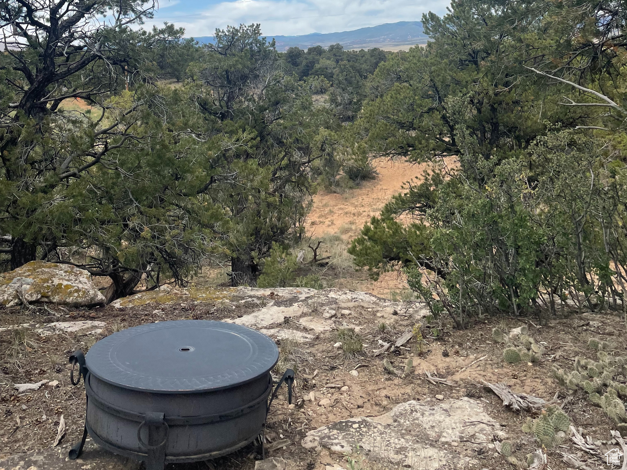 ORANGE MOUNTAIN - Land