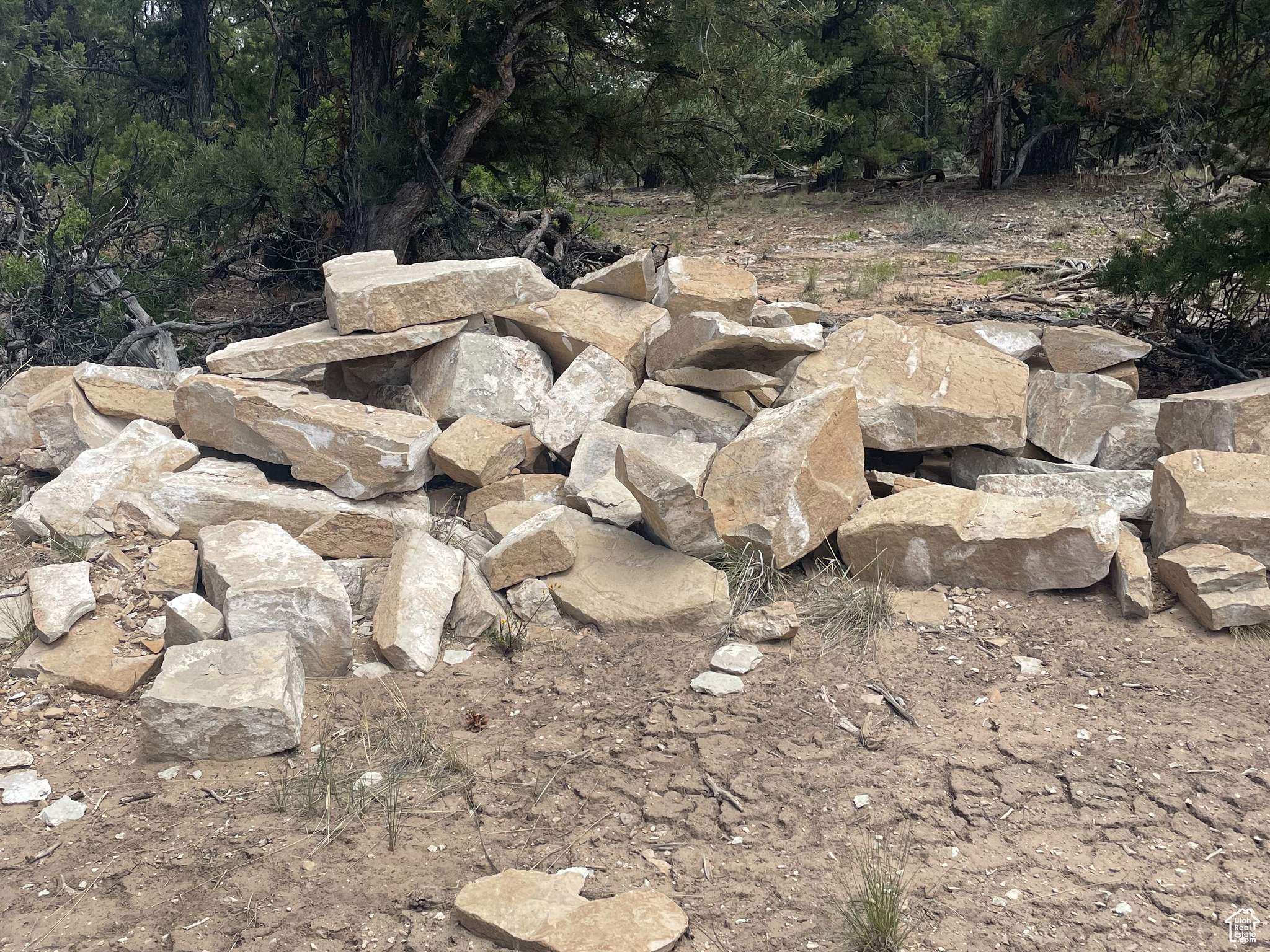 ORANGE MOUNTAIN - Land