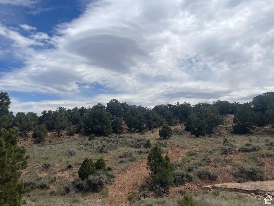 Escape to the tranquil Orange Mountains of Fruitland, Utah with this incredible 8.92-acre parcel offering a perfect blend of privacy, natural beauty, and potential! Ideal for recreational use or year-round living, this versatile parcel is a haven for outdoor enthusiasts. Spend your days camping, hiking, riding ATVs, or simply soaking in the solitude and wildlife. Build a custom mountain cabin, a weekend getaway, or go fully off-grid  solar panels are already installed! As you pull into the property you will find a circular driveway with 6 cleared out camping spots for friends or family to join in on the fun! Gather around the fire at night and enjoy cool mountain breezes and starlit skies away from city lights. This beautiful property is also located just minutes from Starvation Reservoir and surrounded by thousands of acres of public land. This area is known for its fishing, boating, hunting, and quiet beauty. Easy access via maintained roads.     Acerage figures are provided as a courtesy estimate only and were obtained from county records .  Buyer is advised to obtain an independent measurement.