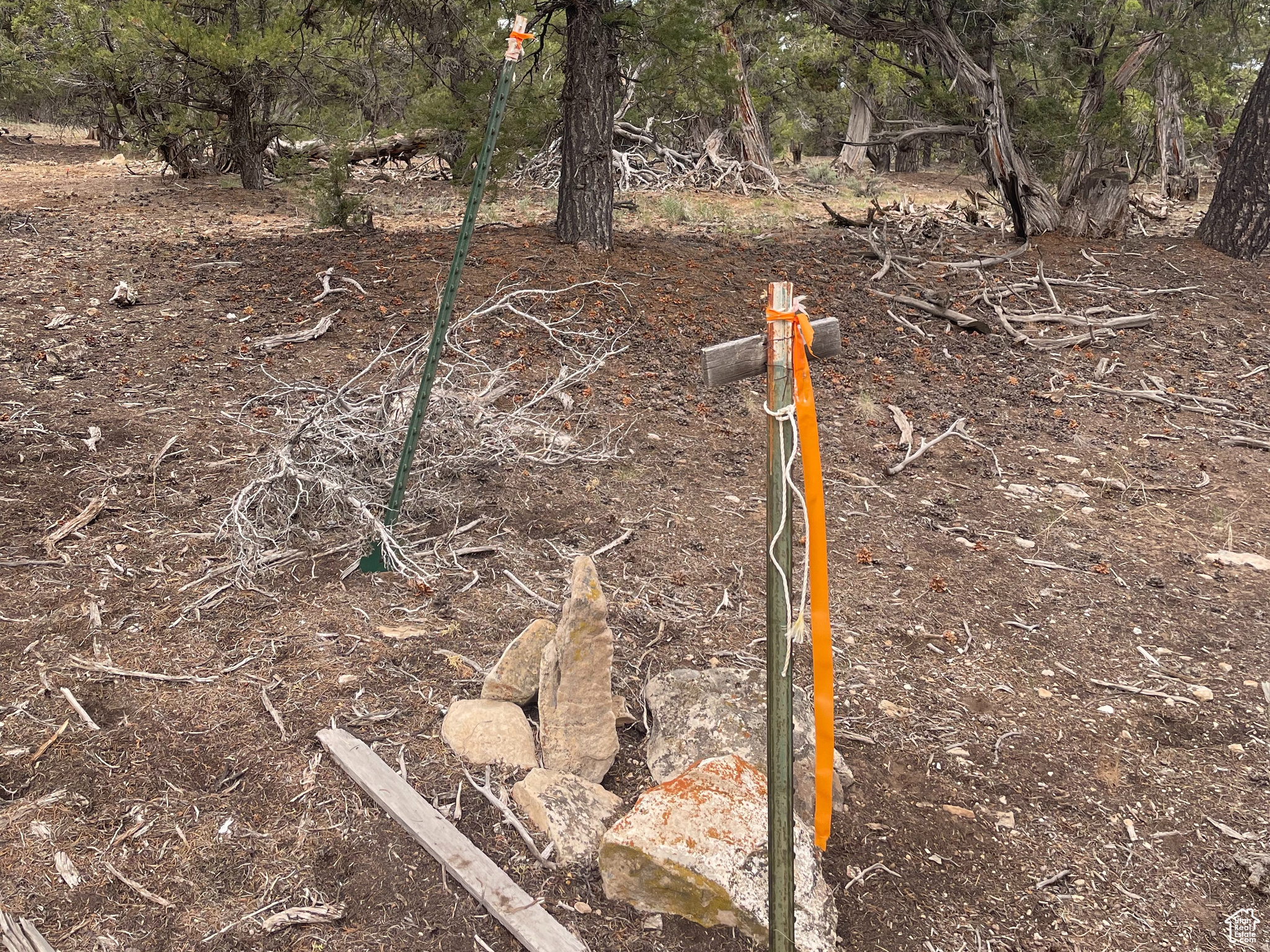 ORANGE MOUNTAIN - Land