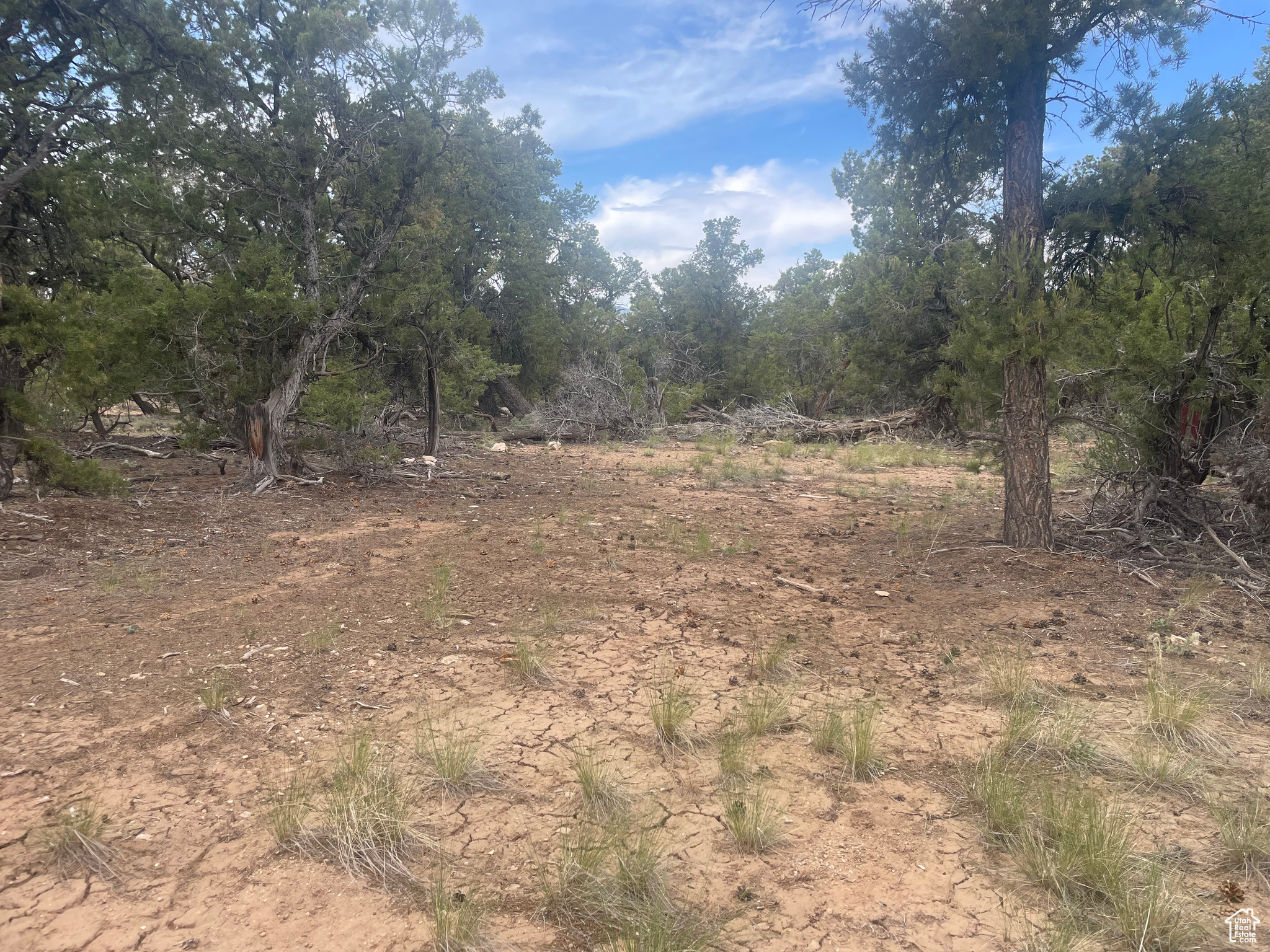 ORANGE MOUNTAIN - Land