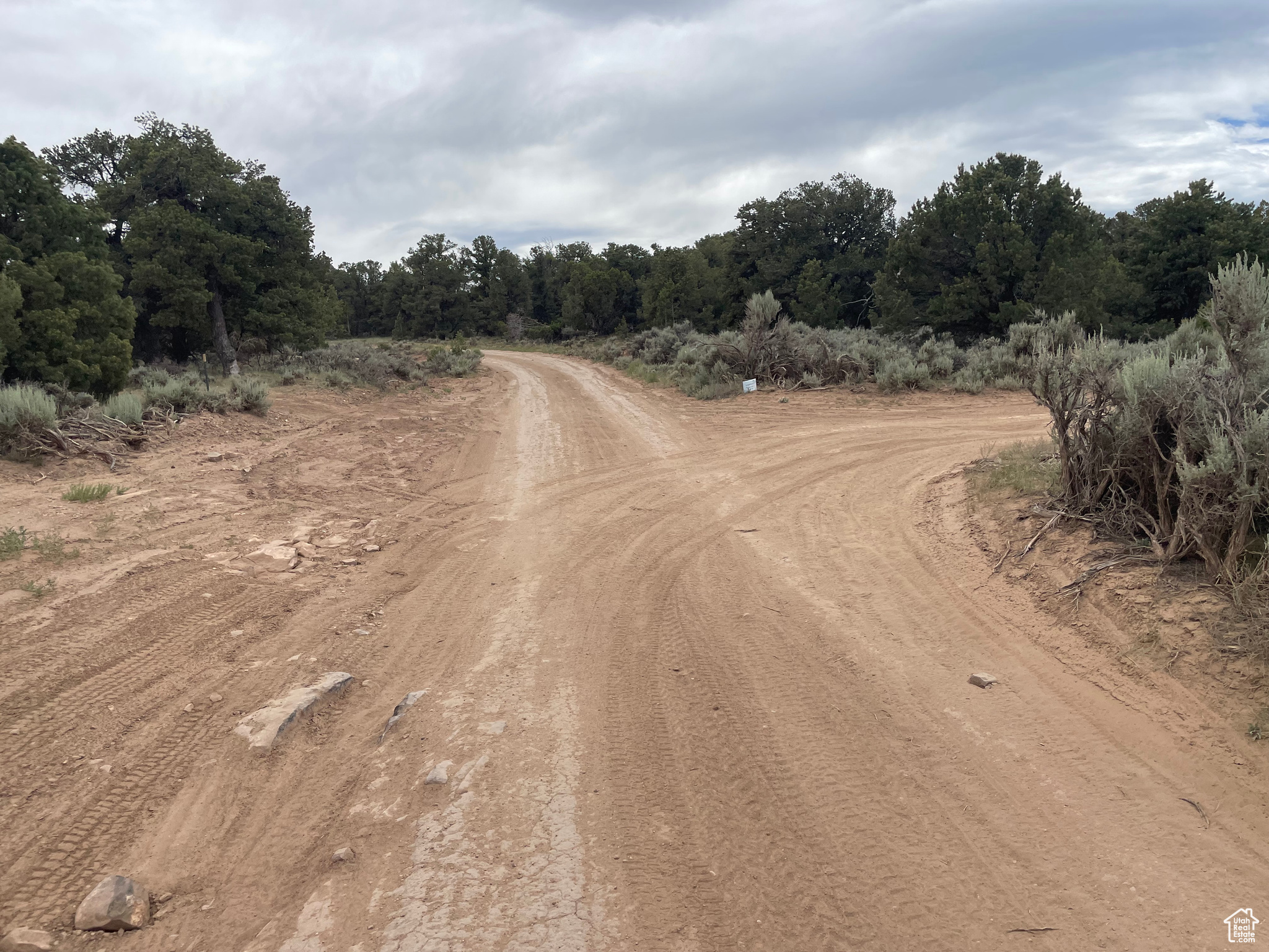 ORANGE MOUNTAIN - Land