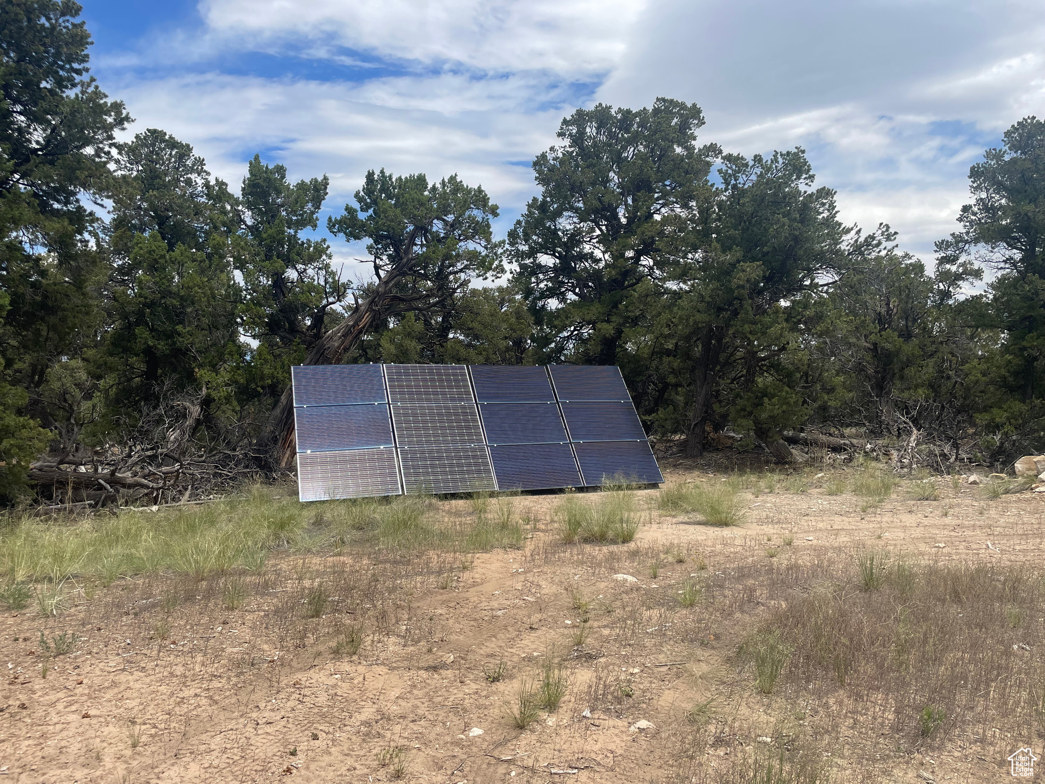 ORANGE MOUNTAIN - Land