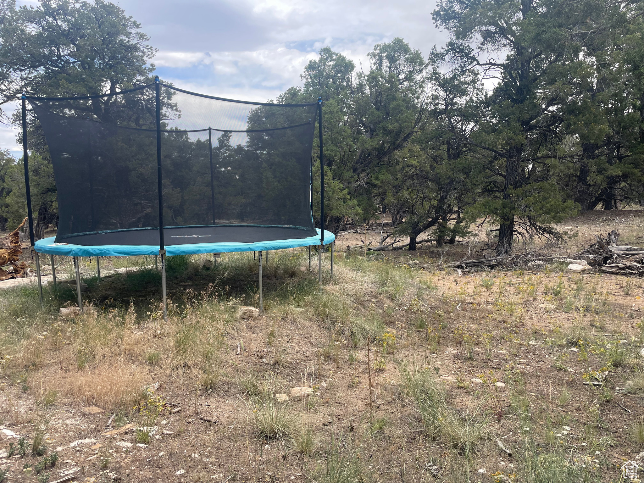 ORANGE MOUNTAIN - Land